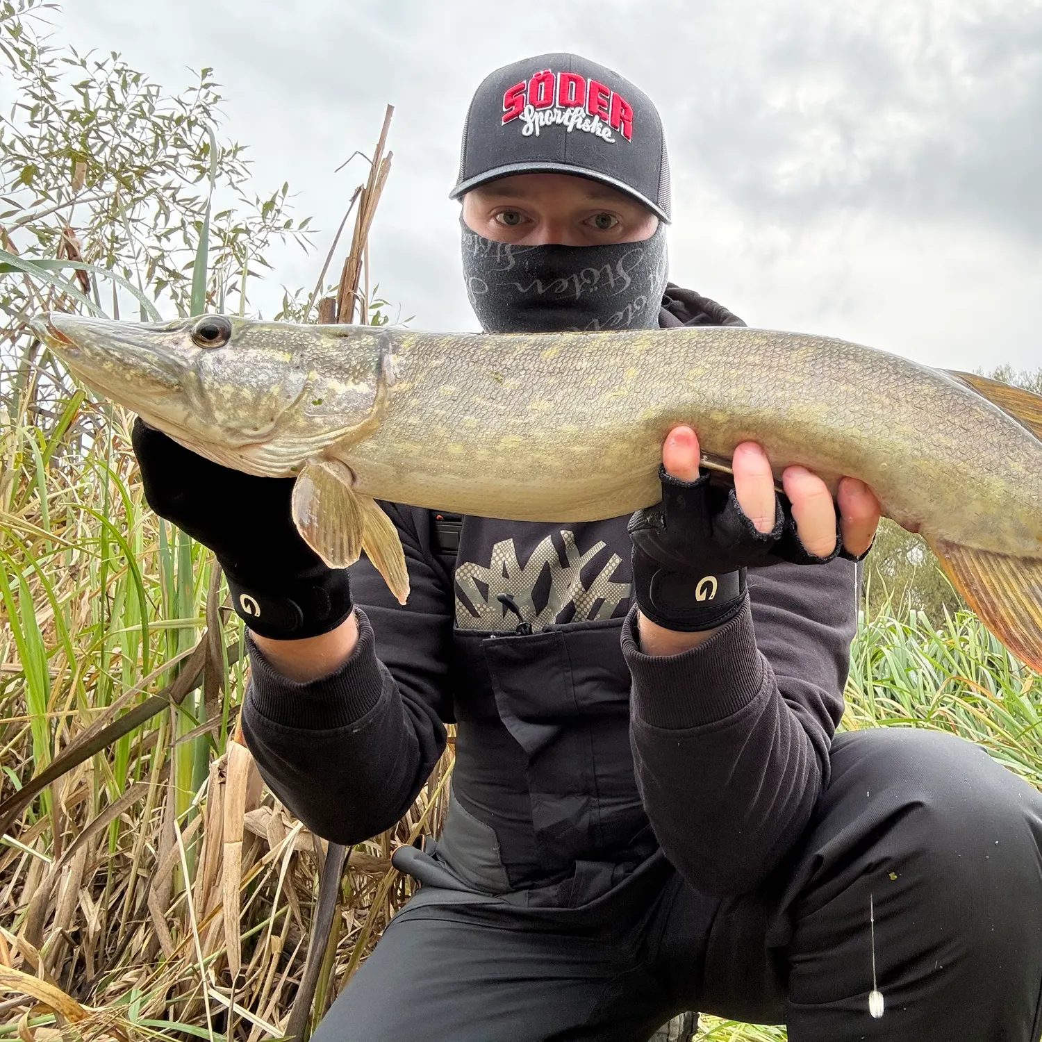 Northern pike caught on Fishbrain