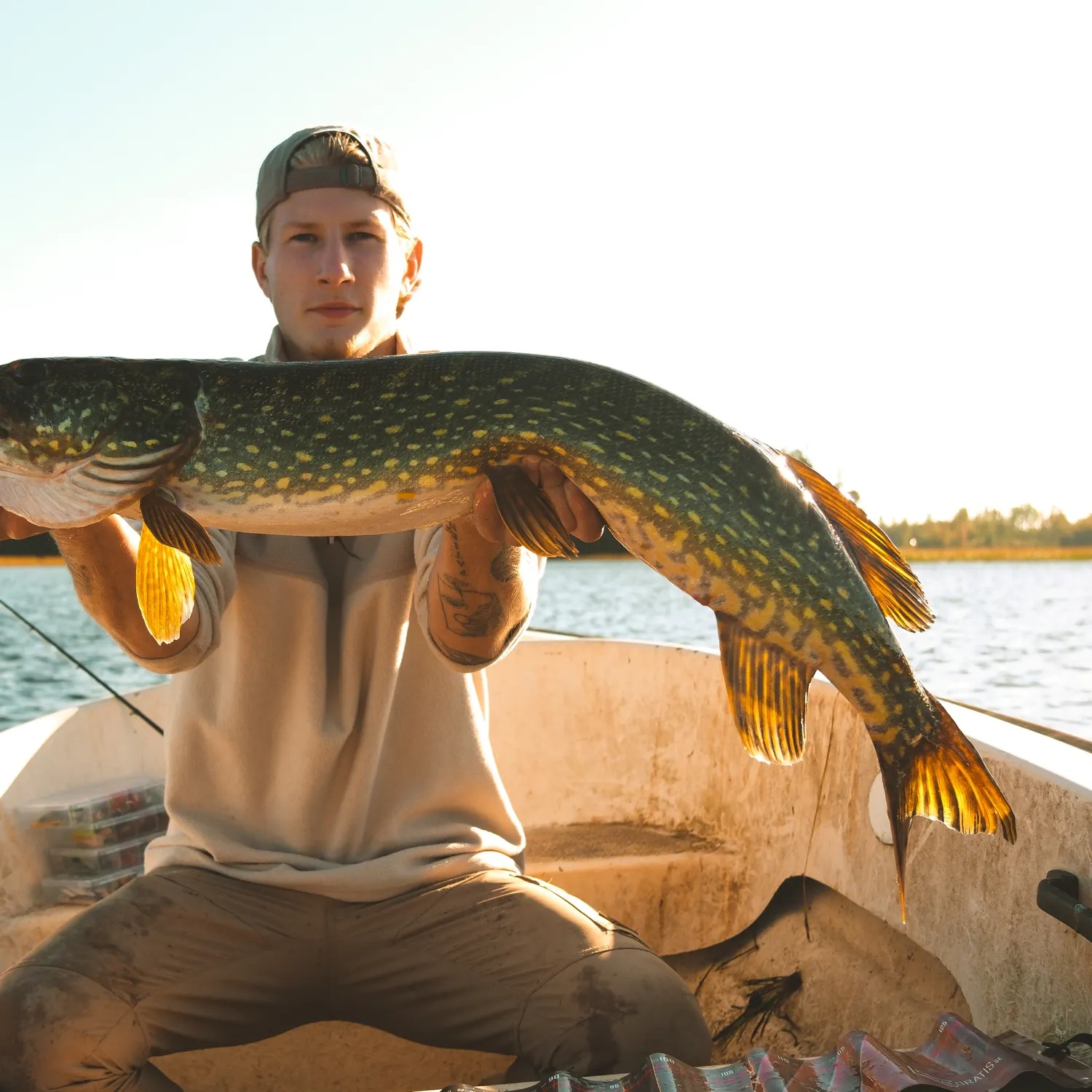 Northern pike caught on Fishbrain