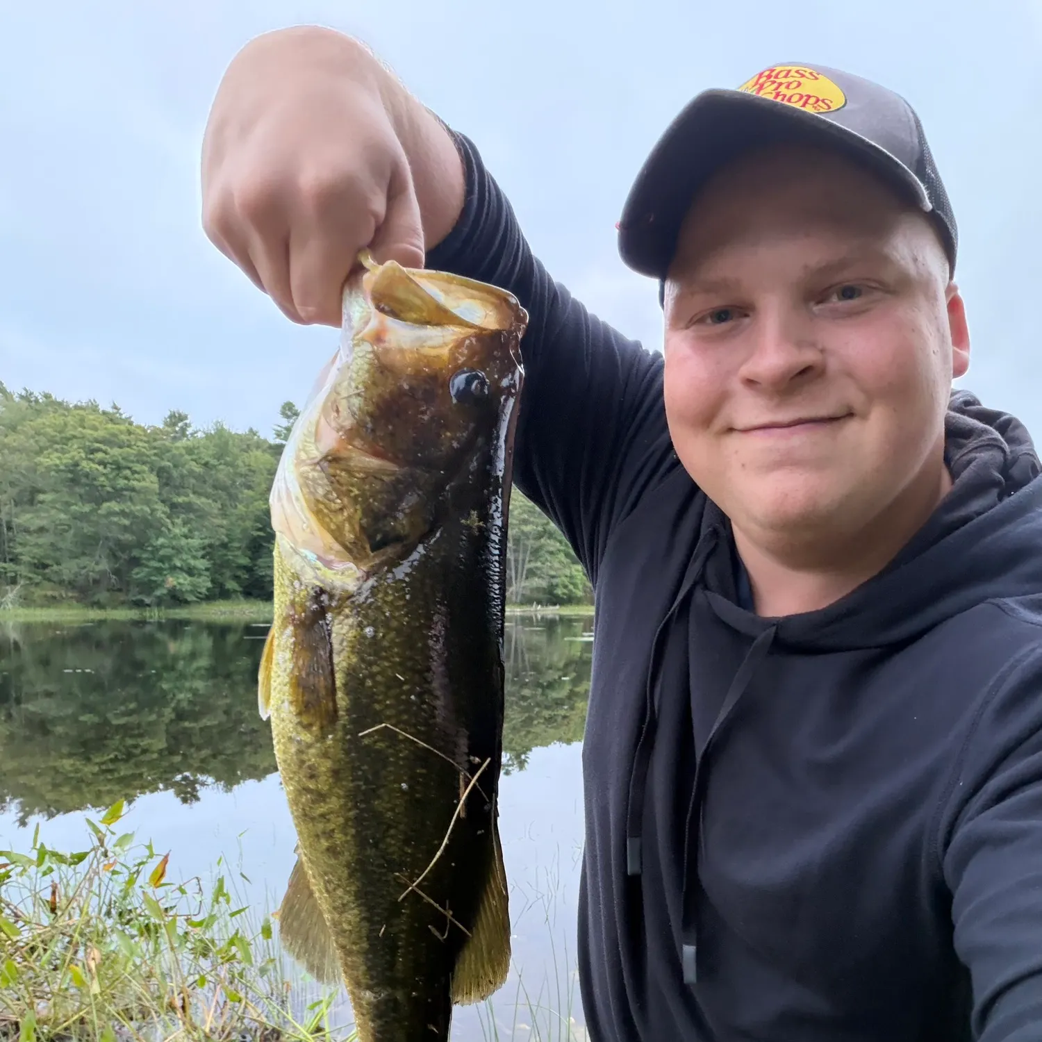 Largemouth bass caught on Fishbrain