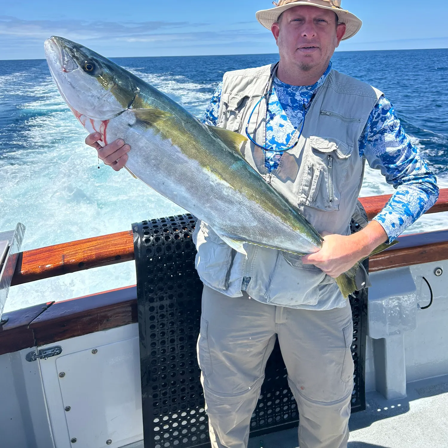 The most recent California yellowtail amberjack catches on Fishbrain