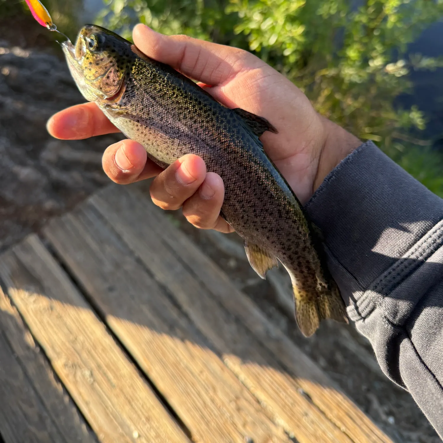 catch