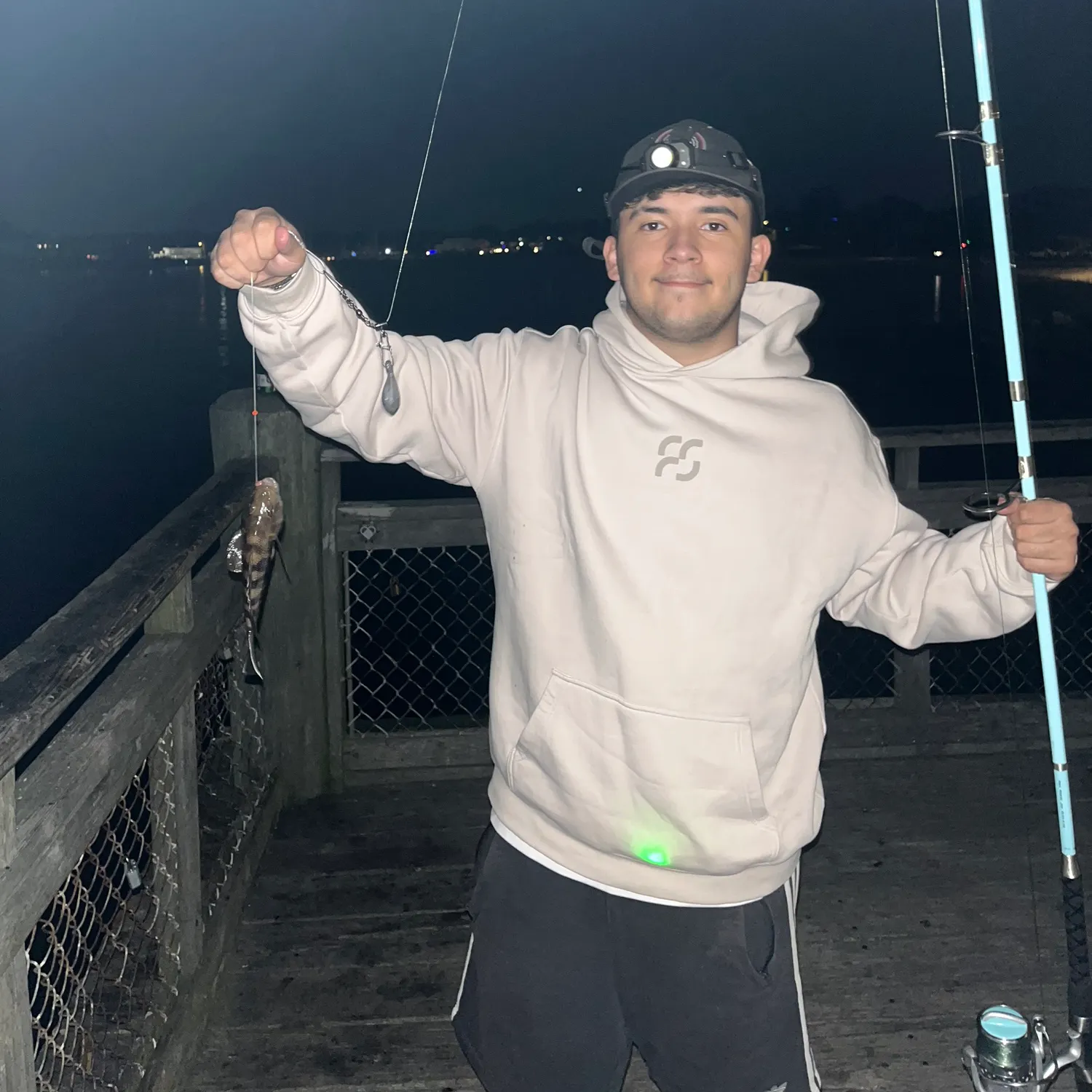 The most recent Rock sea bass catches on Fishbrain