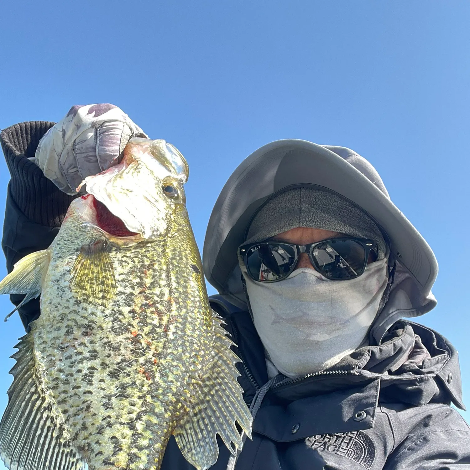 The most recent Black crappie catches on Fishbrain