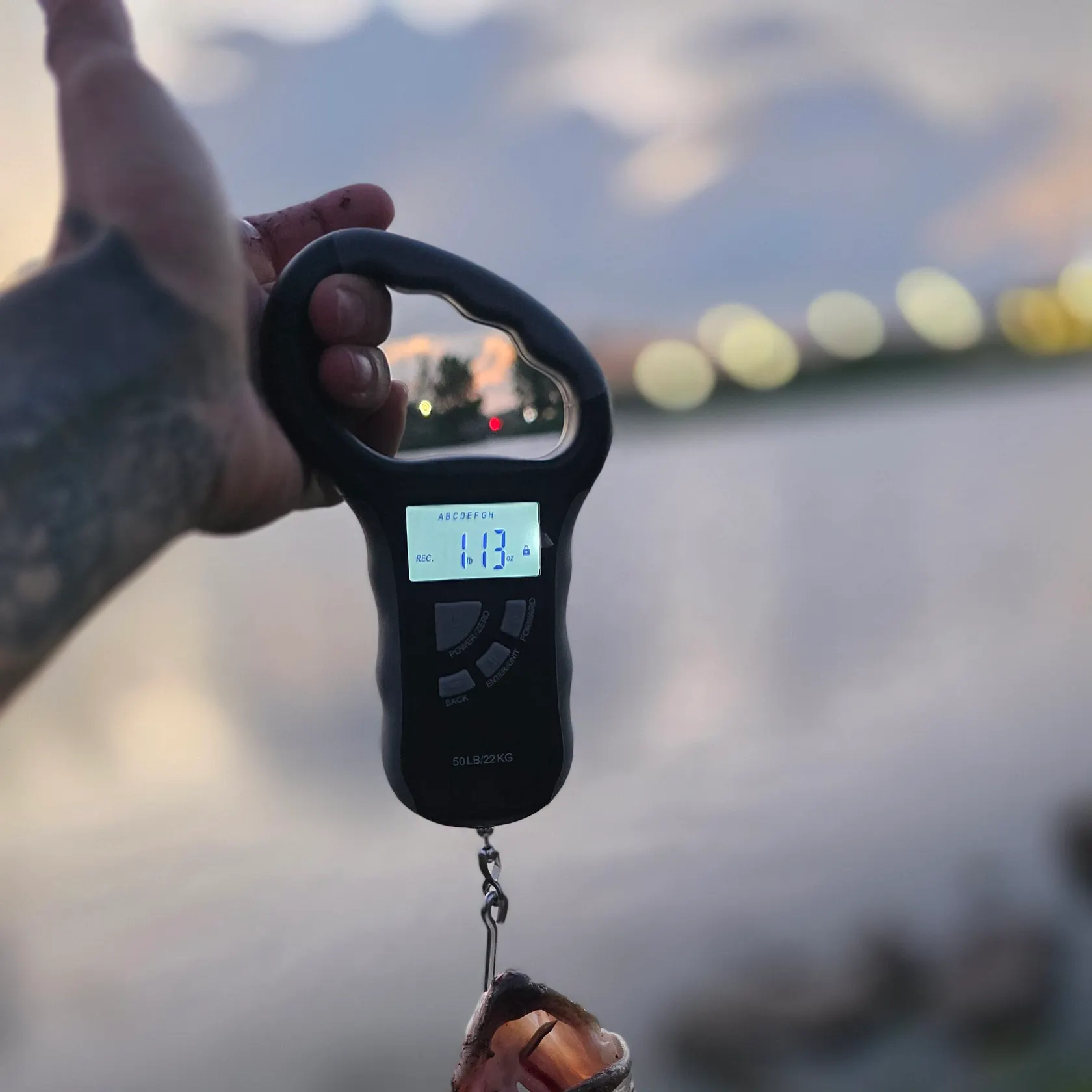 recently logged catches