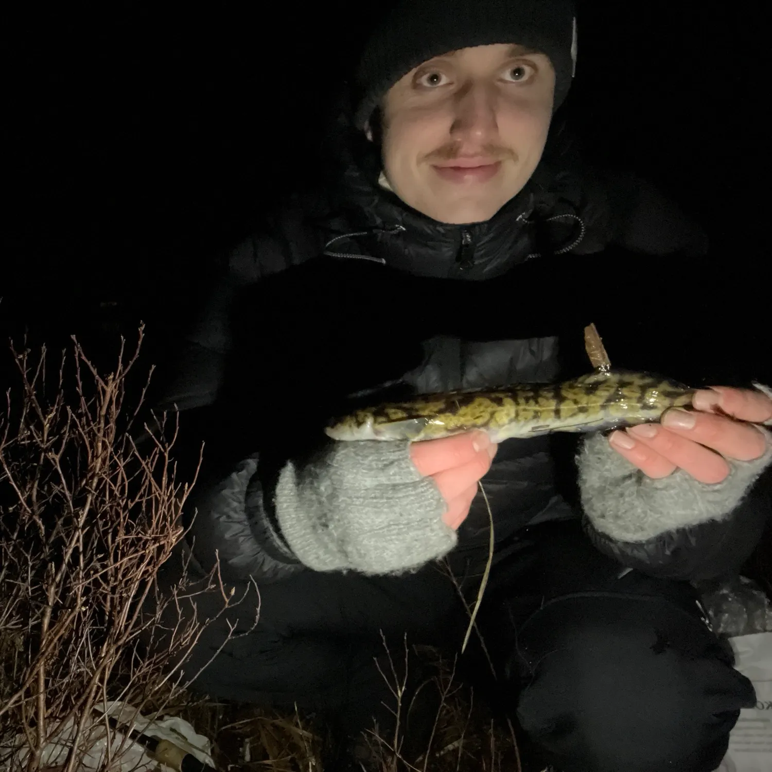 The most recent Burbot catches on Fishbrain
