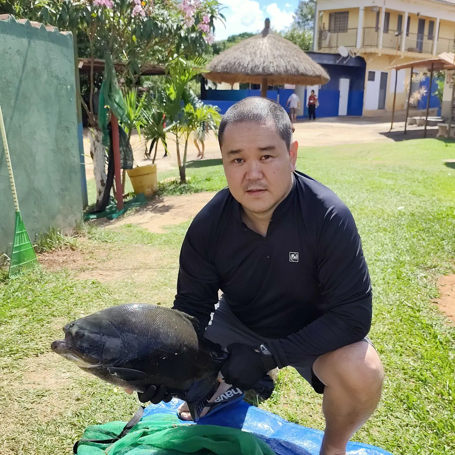 The most recent Tambacu catches on Fishbrain