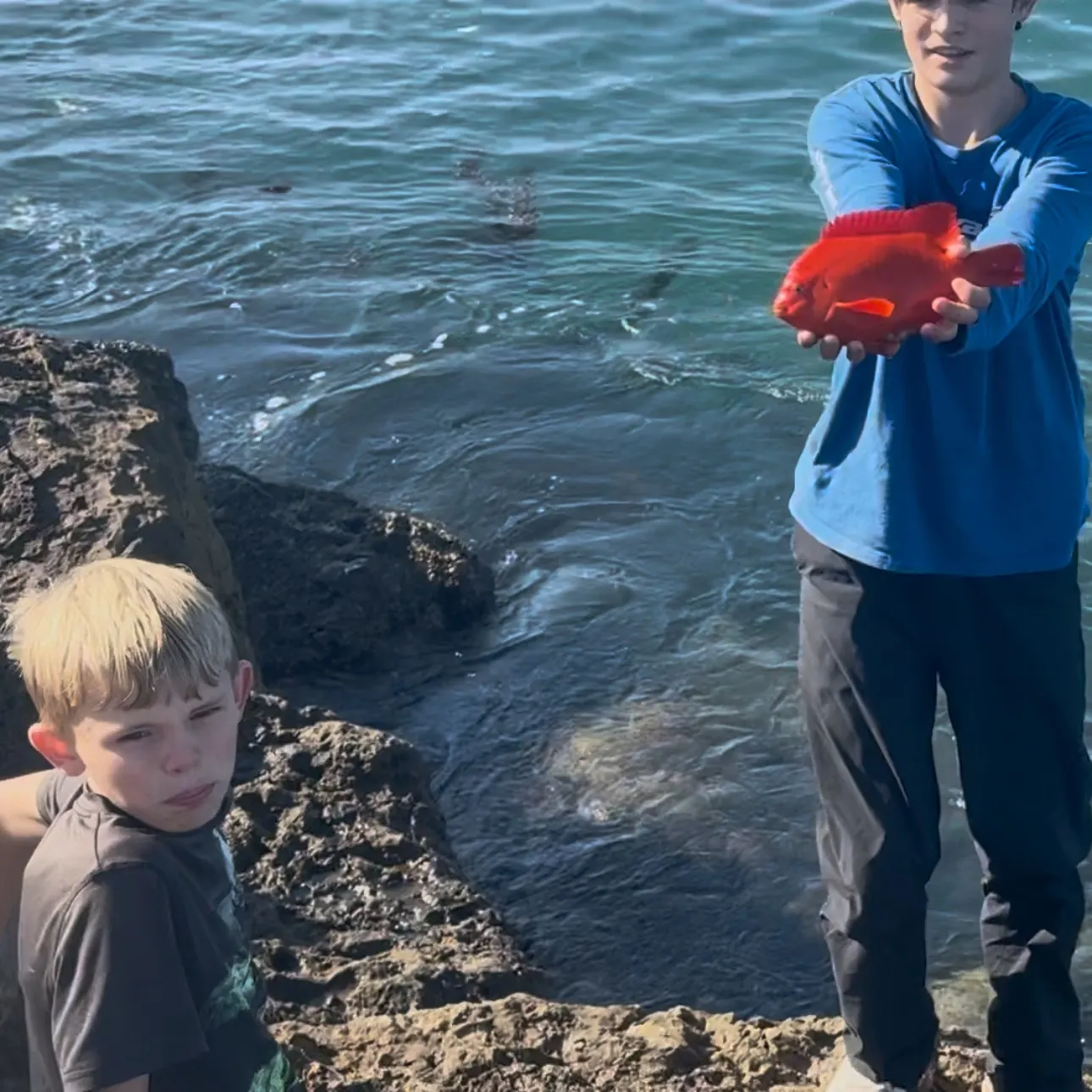 The most recent Garibaldi damselfish catches on Fishbrain