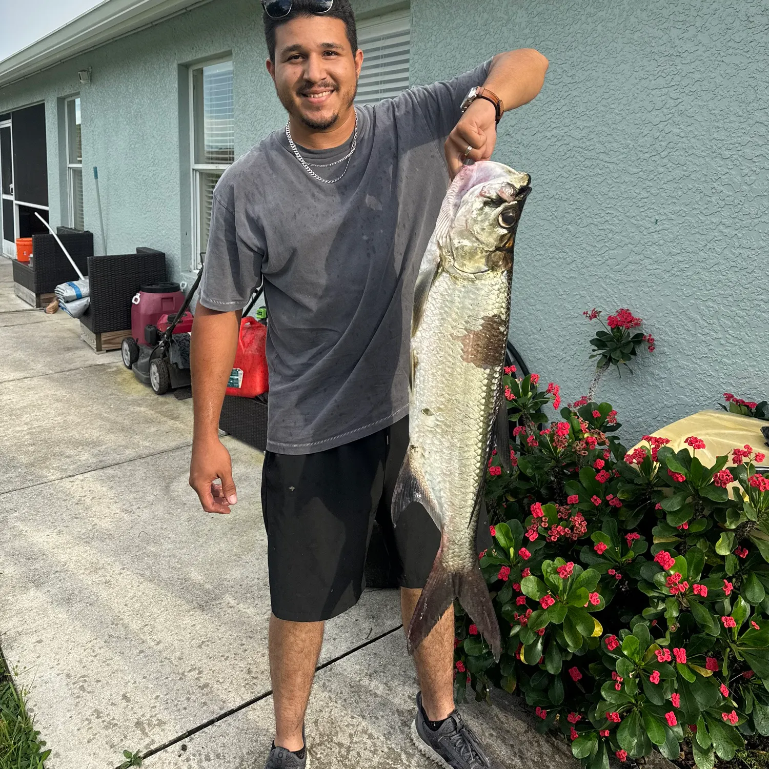The most recent Tarpon catches on Fishbrain