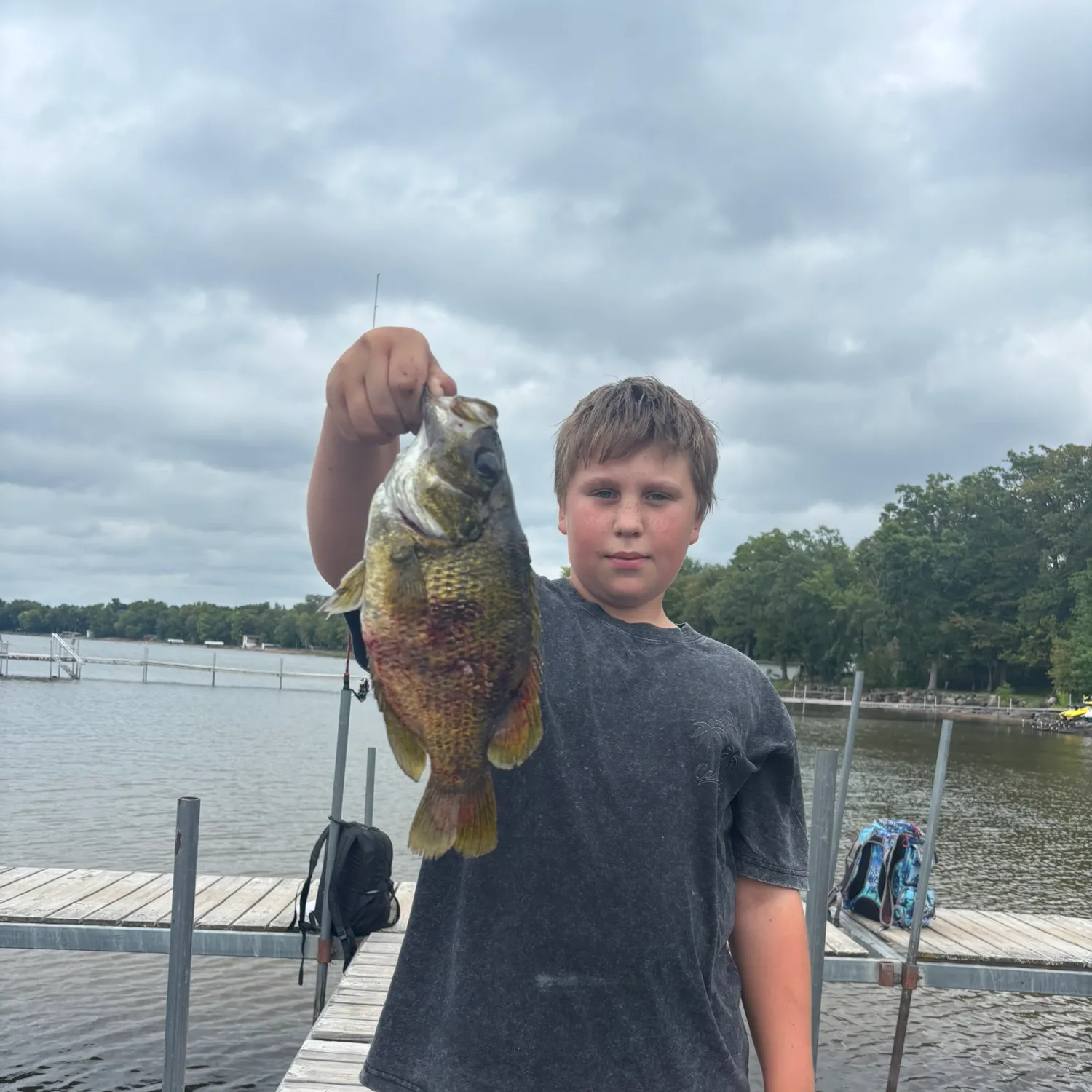 Rock bass caught on Fishbrain
