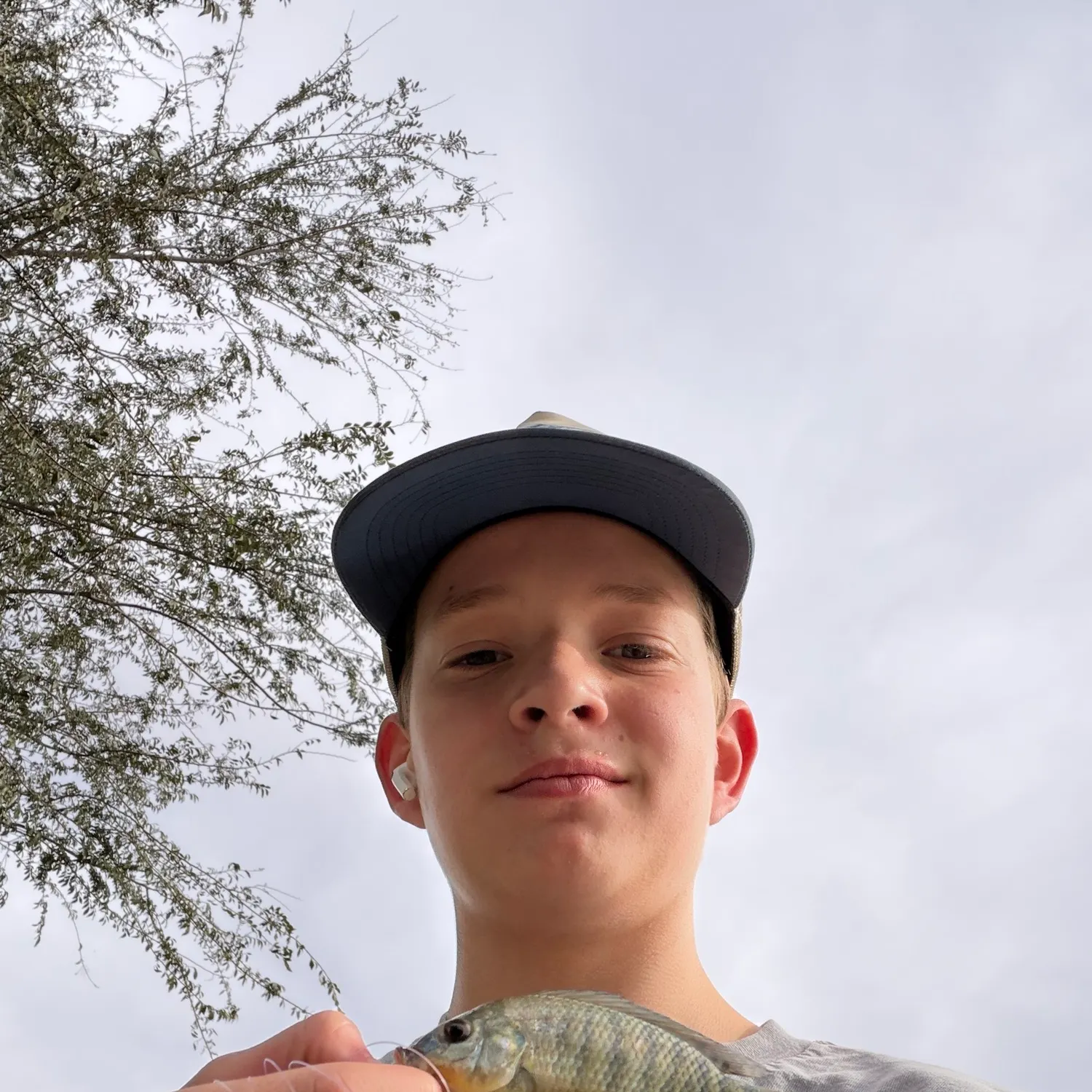 The most recent Redbreast tilapia catches on Fishbrain