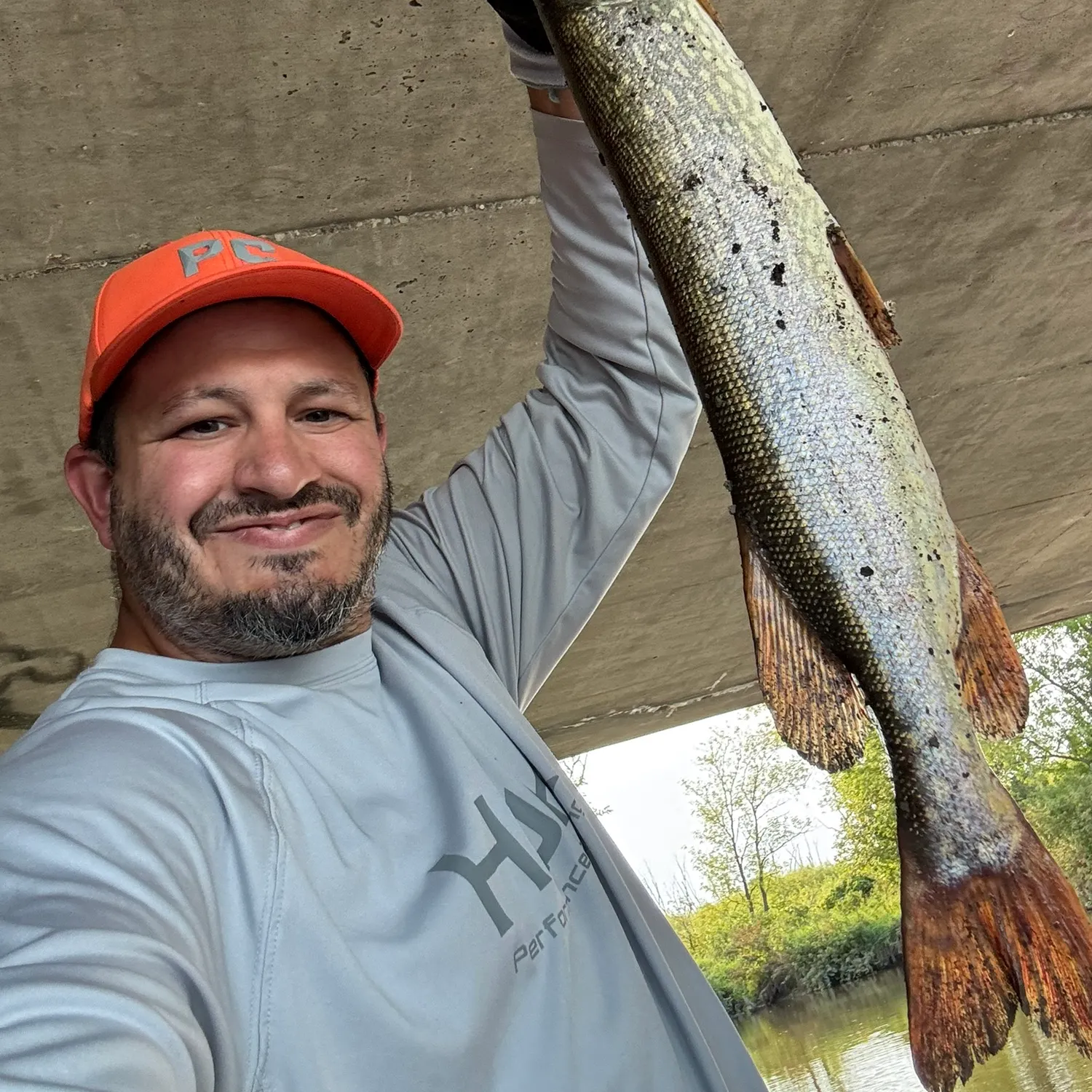Northern pike caught on Fishbrain