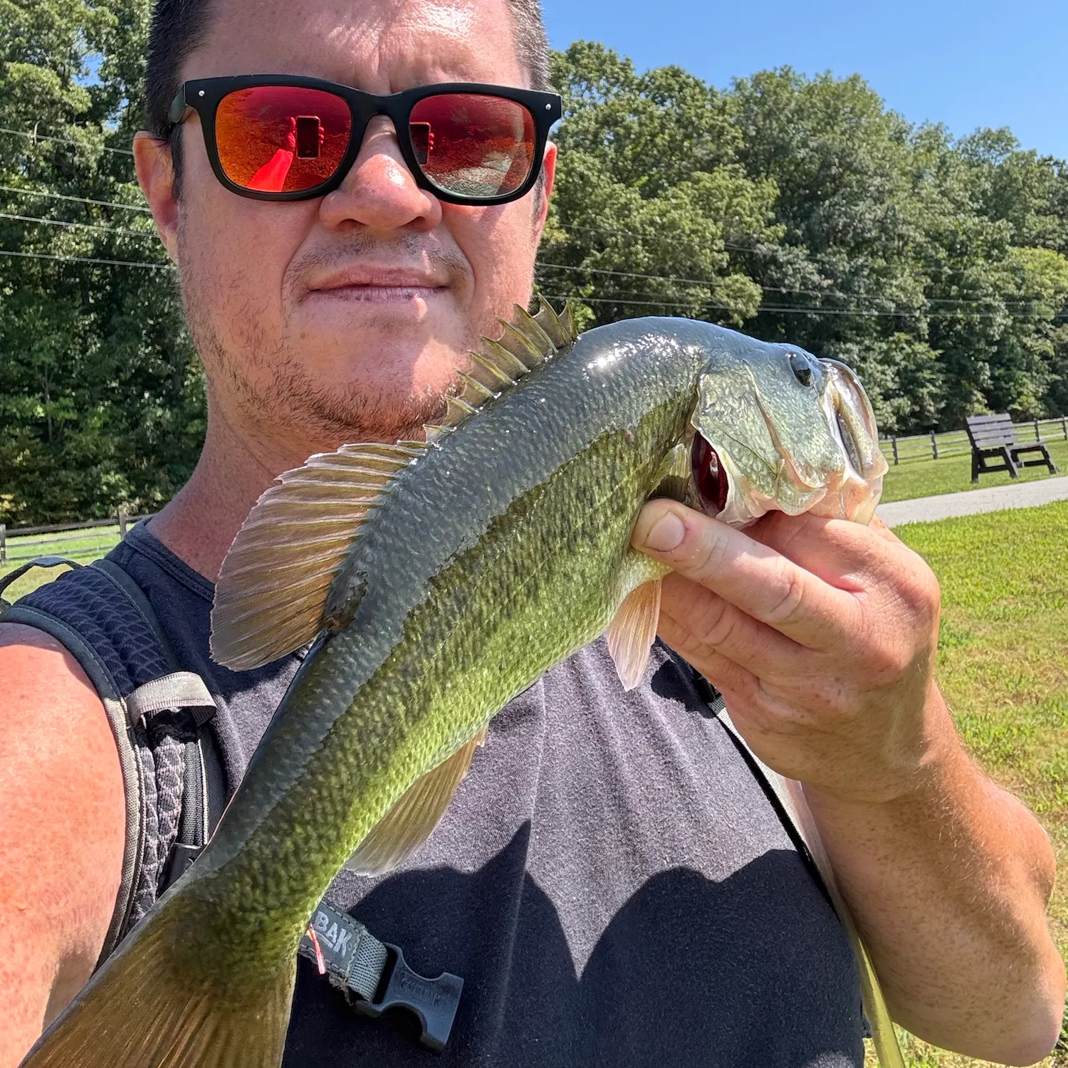 Largemouth bass caught on Fishbrain