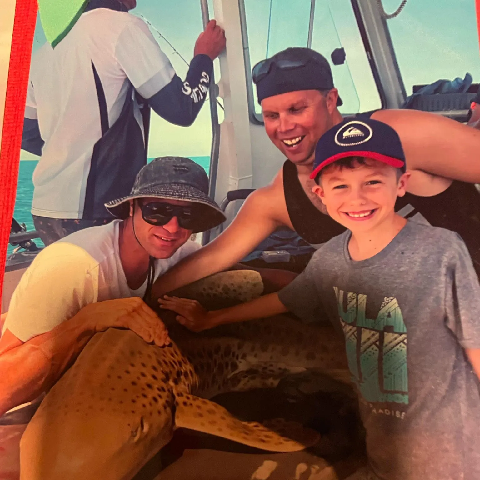 The most recent Zebra shark catches on Fishbrain