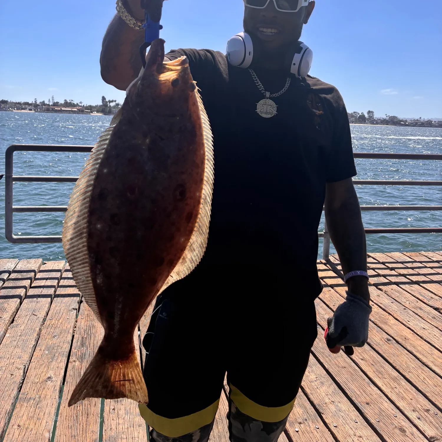 California halibut caught on Fishbrain