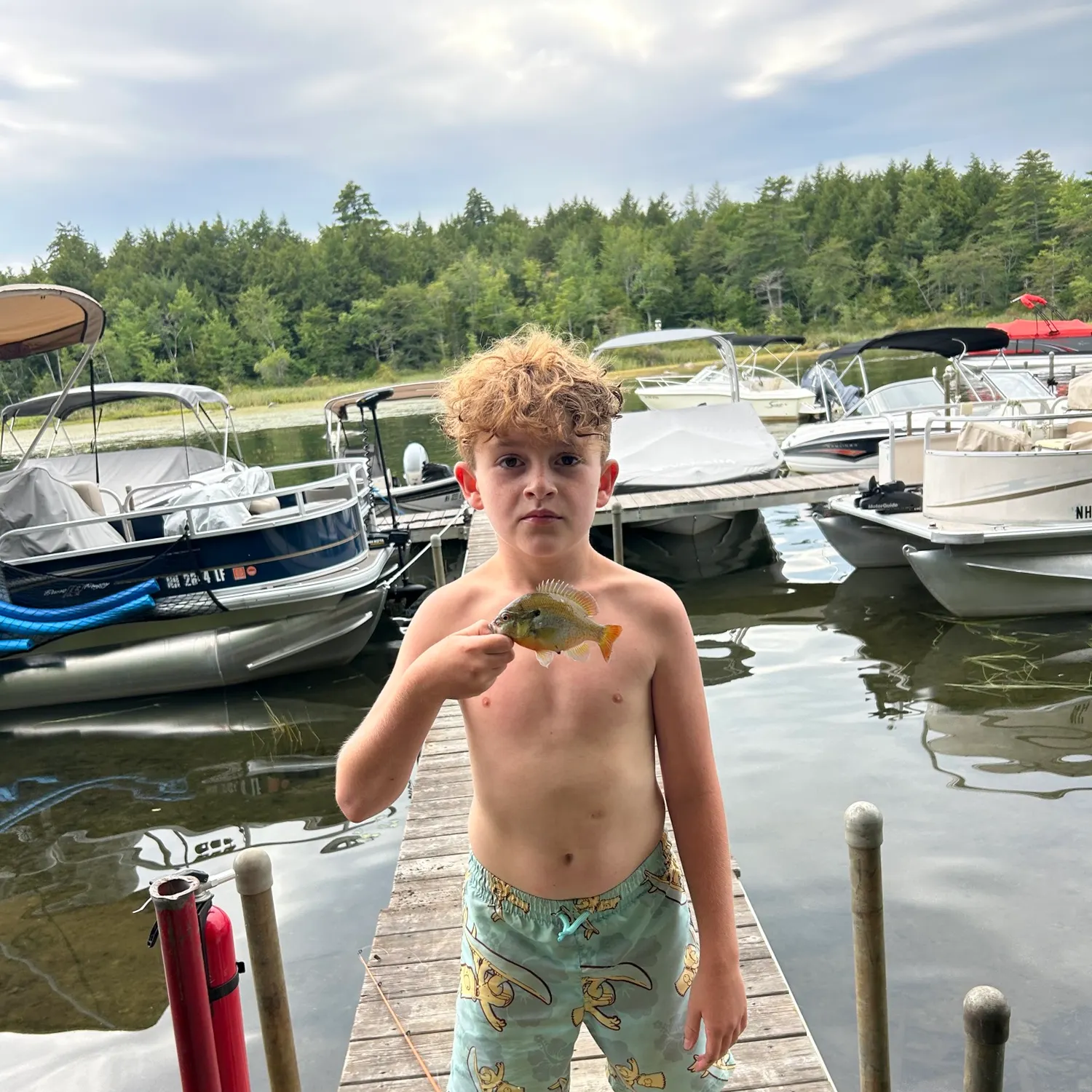 The most recent Spotted sunfish catches on Fishbrain
