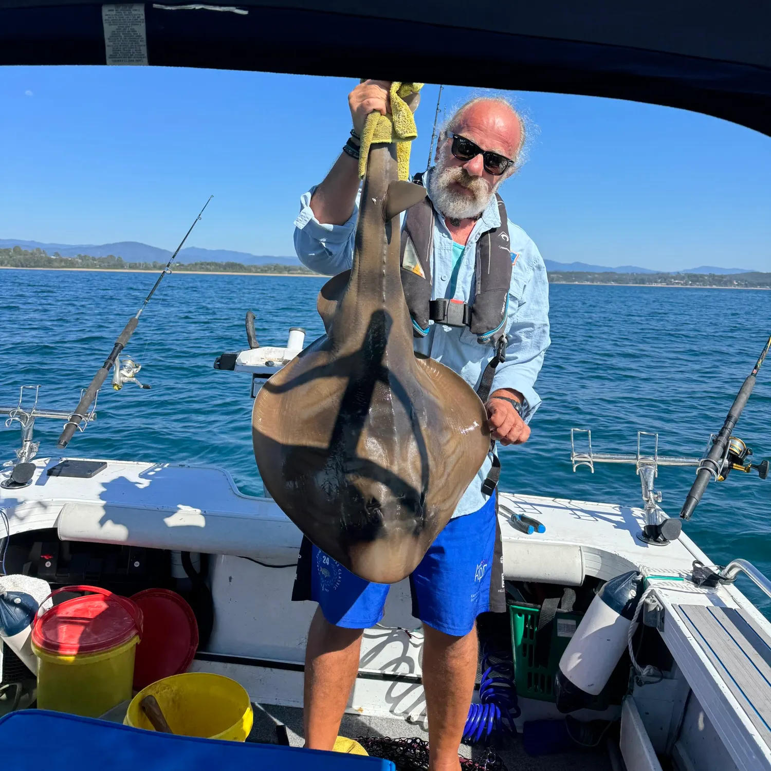 The most recent Southern fiddler catches on Fishbrain