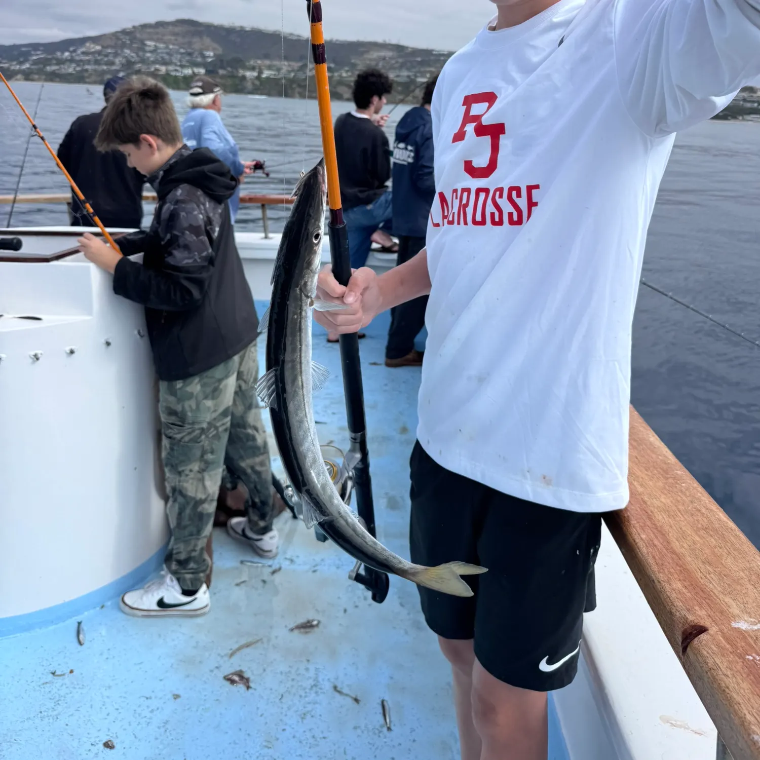 Pacific barracuda caught on Fishbrain