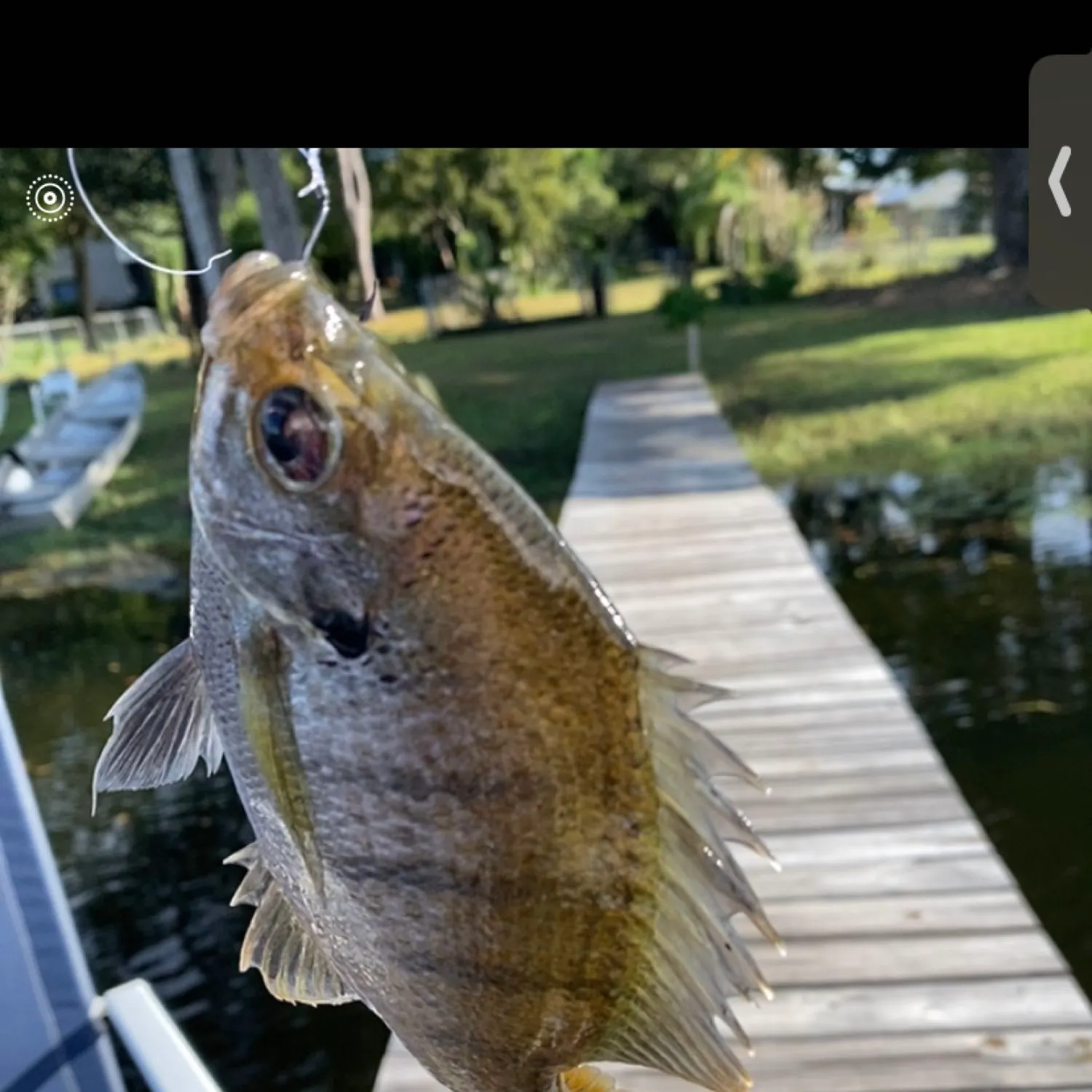 recently logged catches