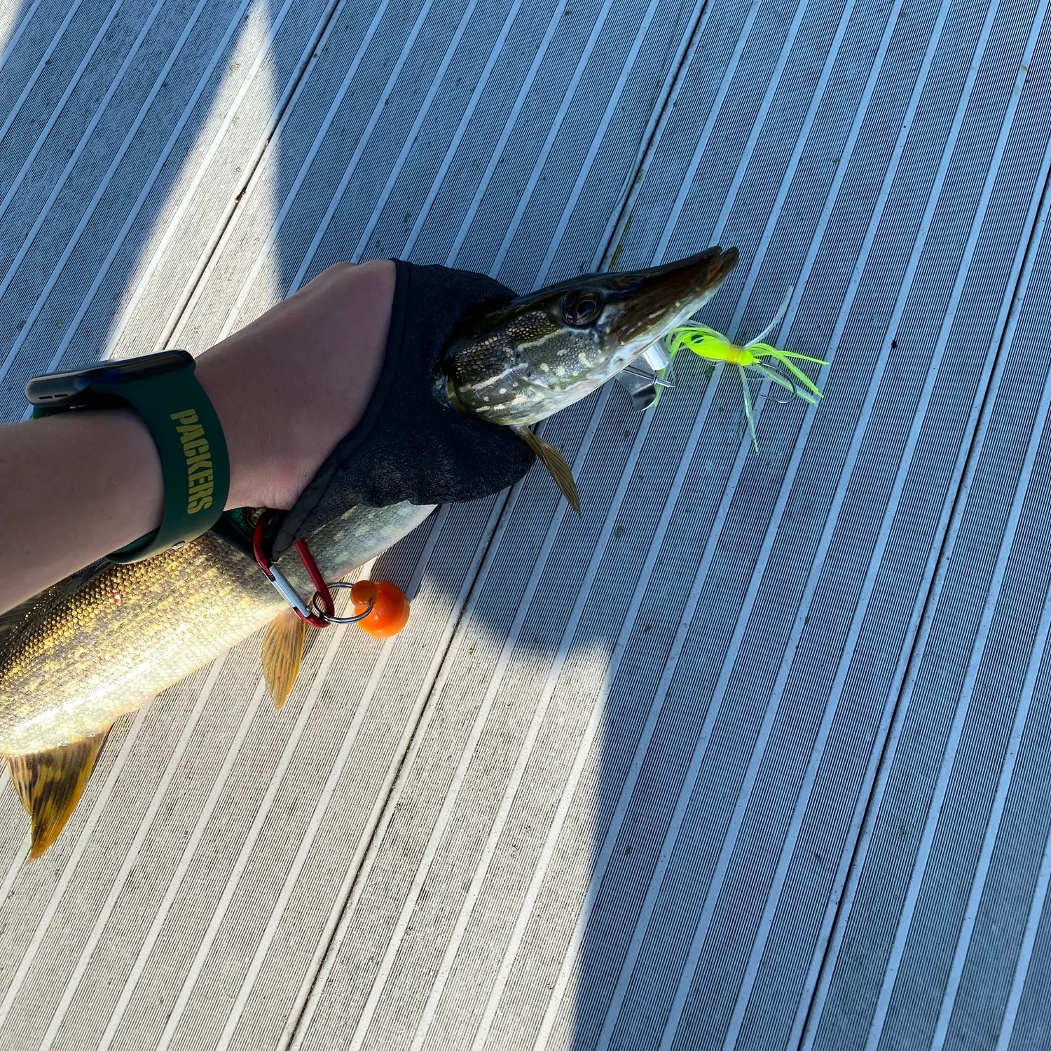 recently logged catches