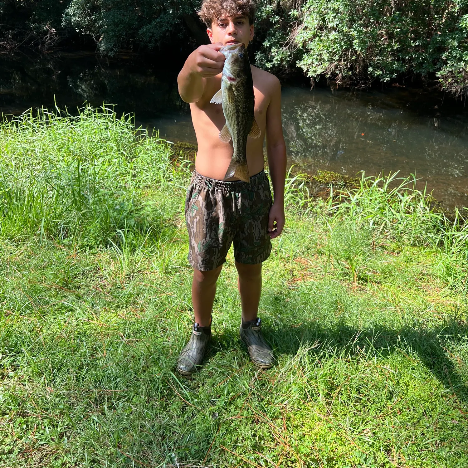 Spotted bass caught on Fishbrain