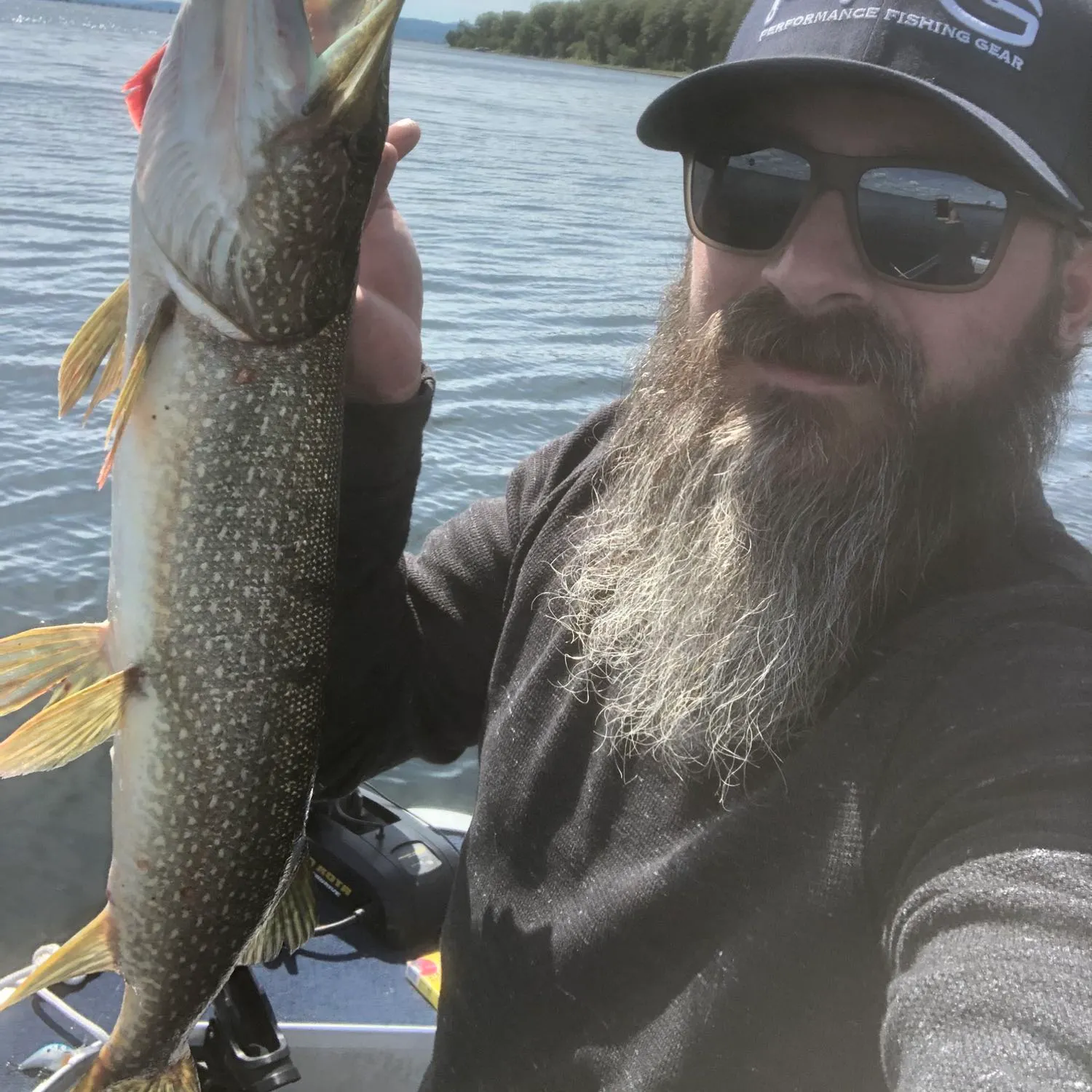Northern pike caught on Fishbrain