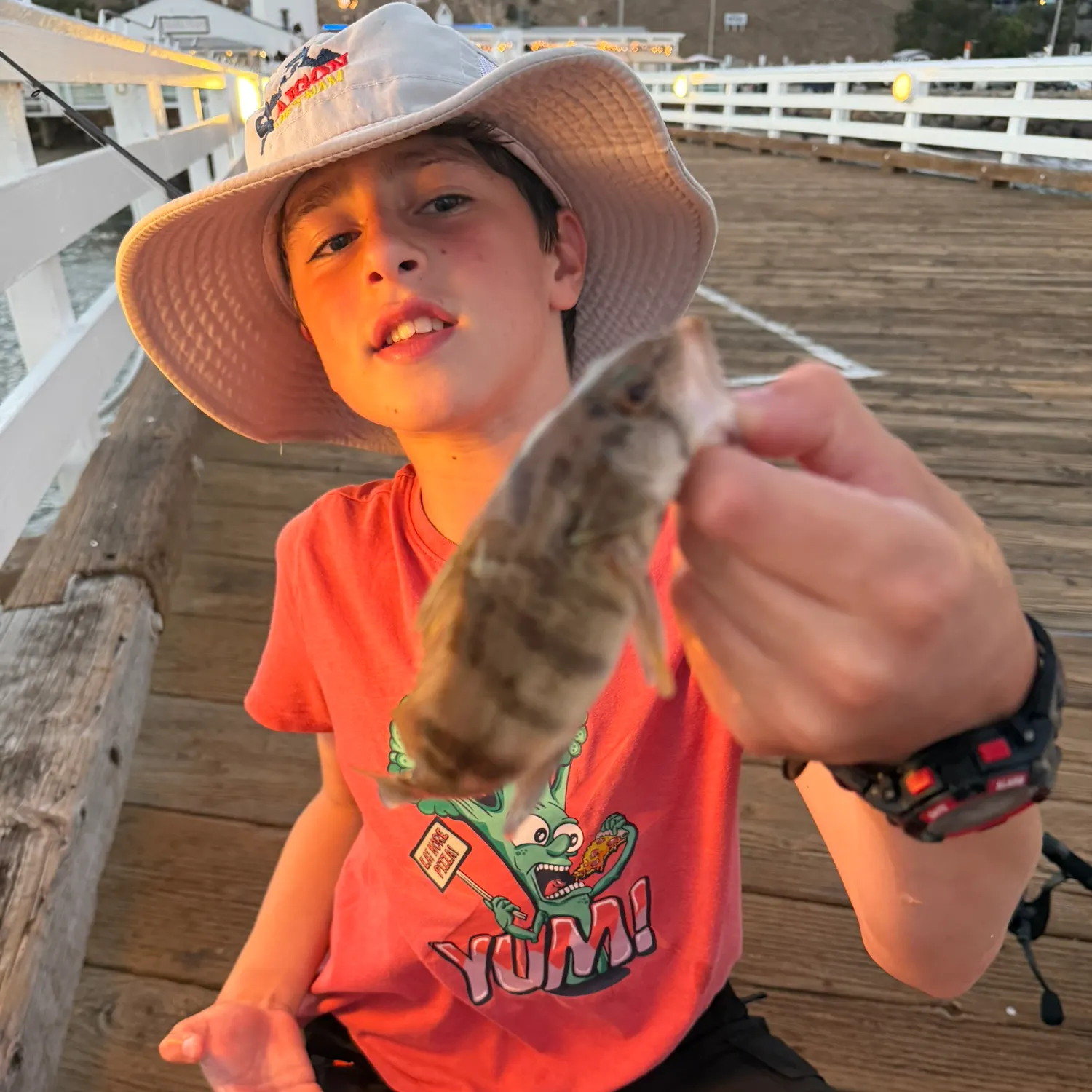 Barred sand bass caught on Fishbrain
