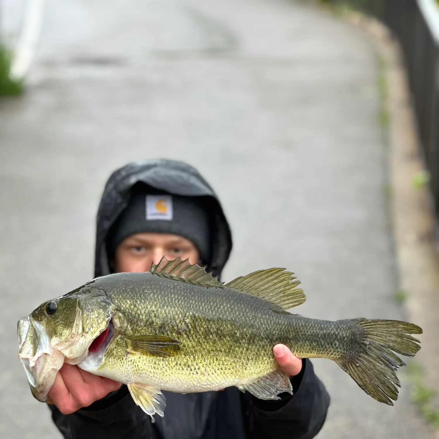 catch