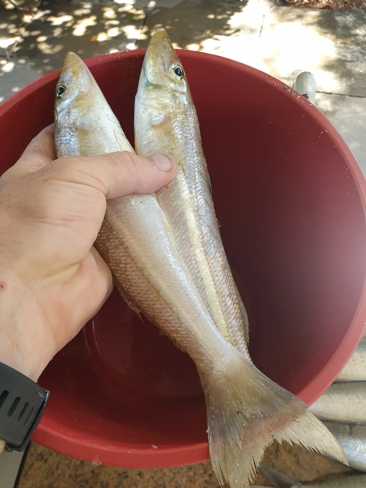 Post image from johnhenshall