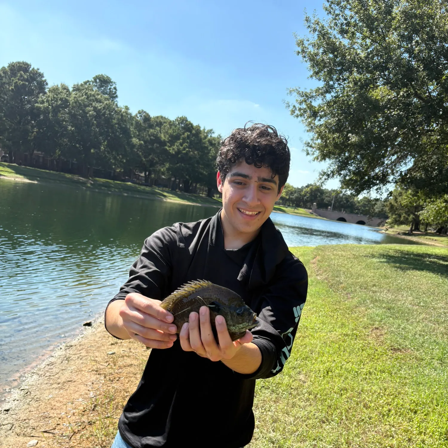 Bluegill caught on Fishbrain
