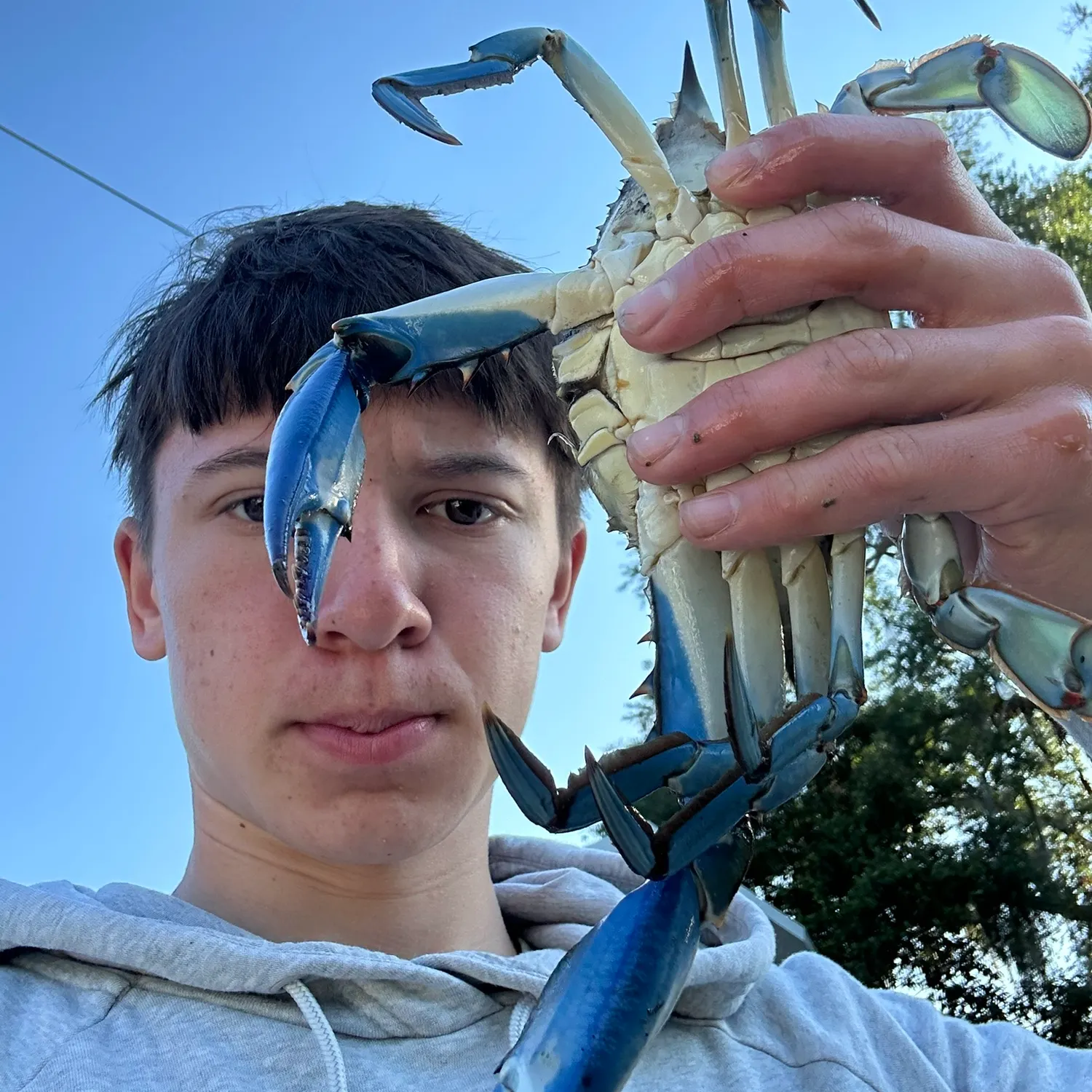 The most recent Blue swimmer crab catches on Fishbrain