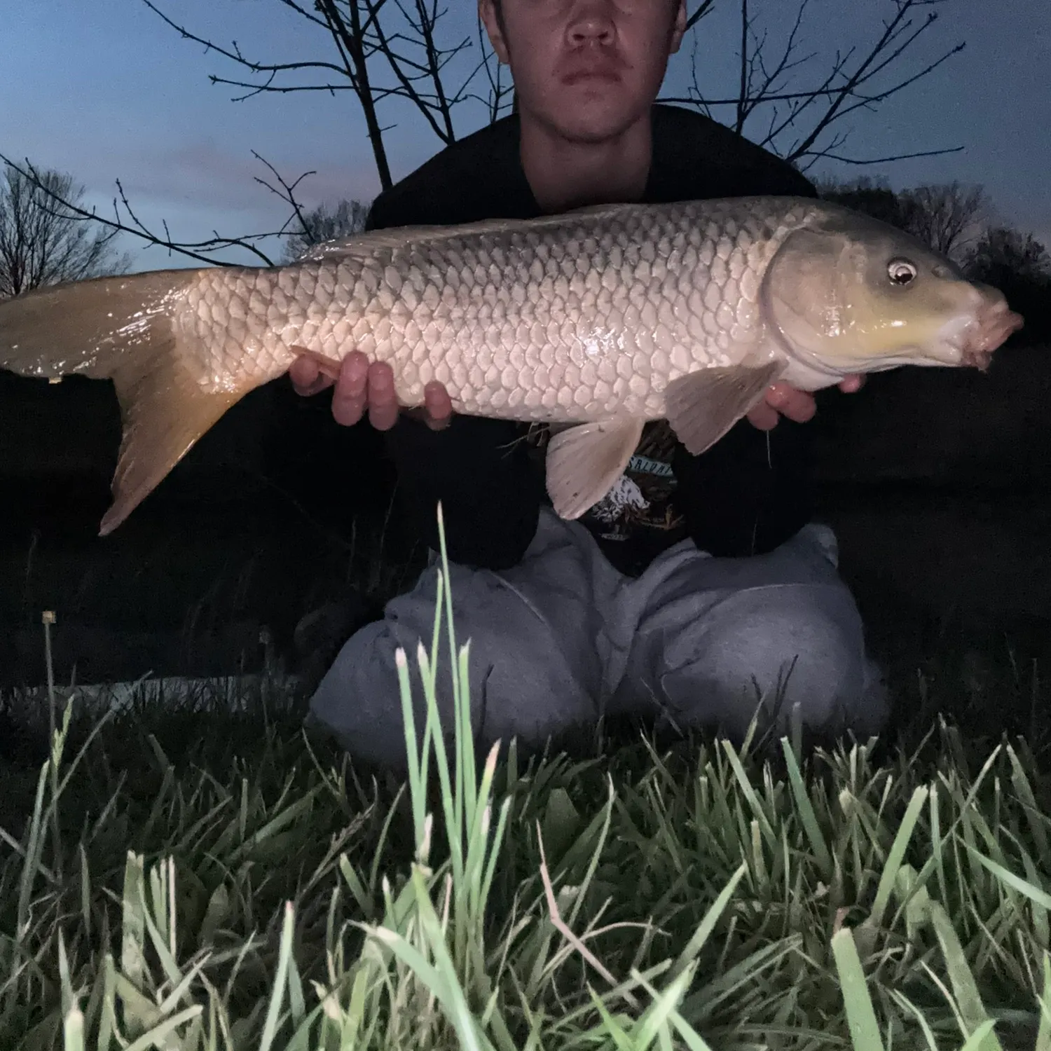 The most recent Ghost carp catches on Fishbrain
