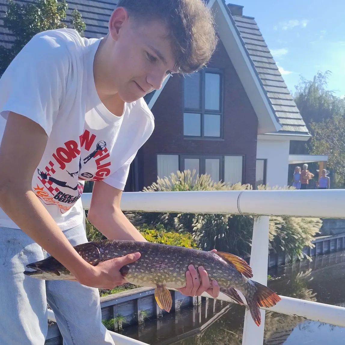 Northern pike caught on Fishbrain