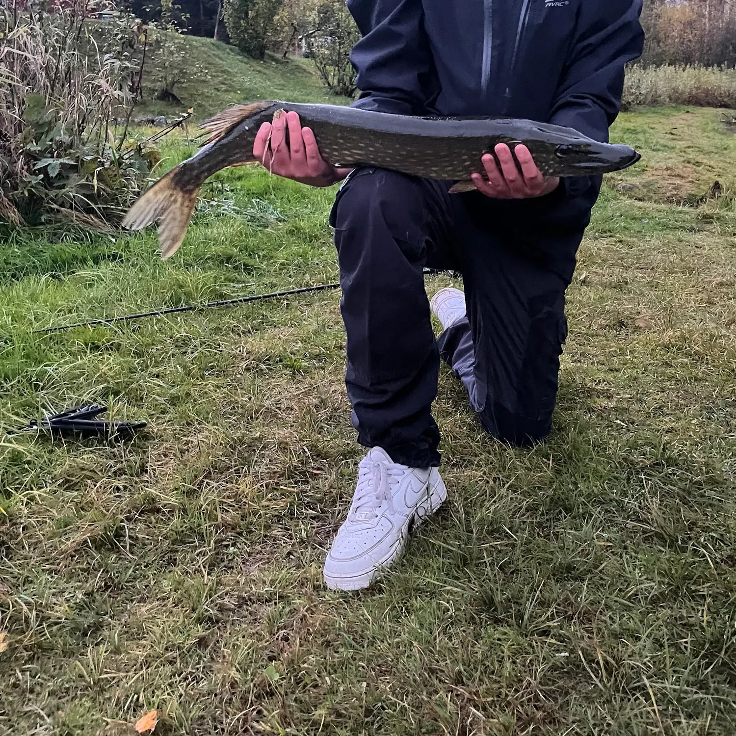 Northern pike caught on Fishbrain