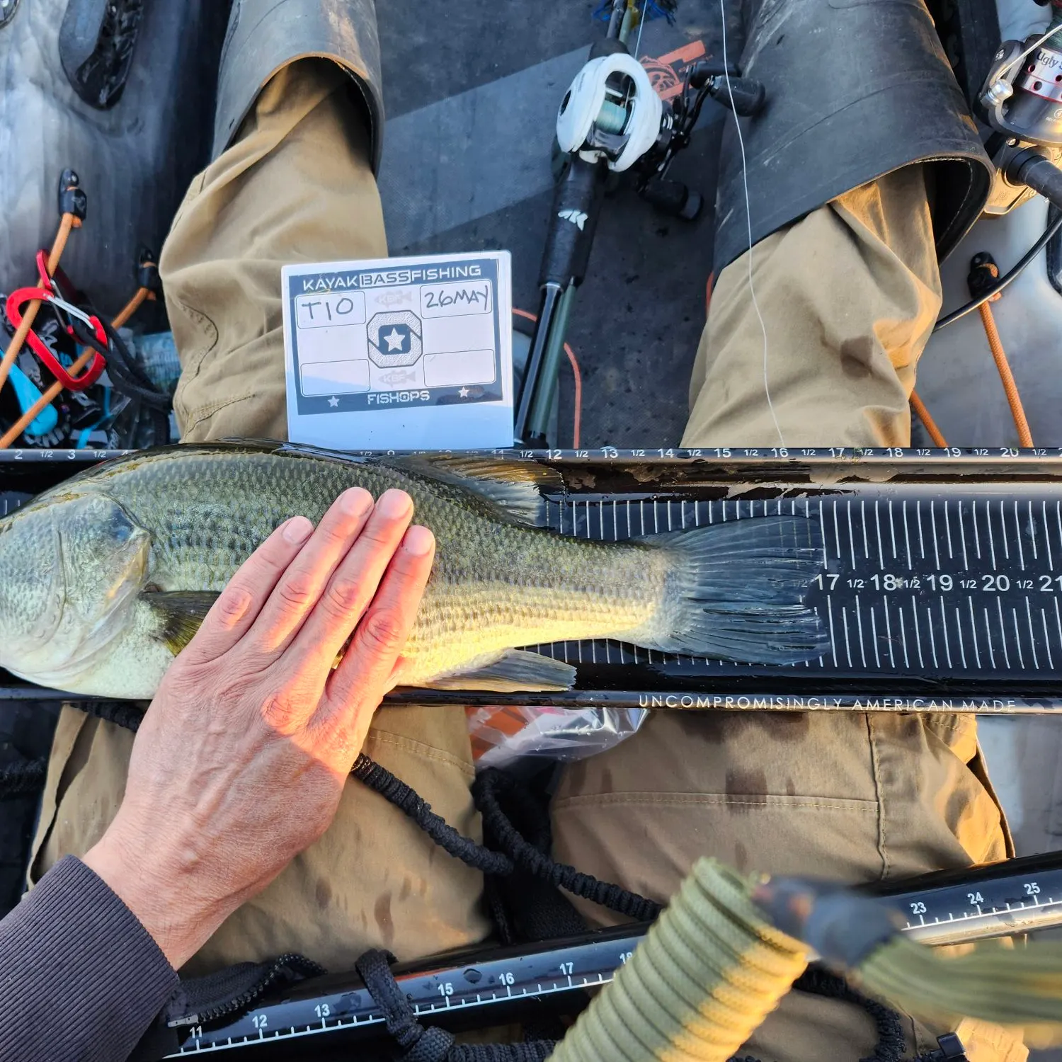 recently logged catches