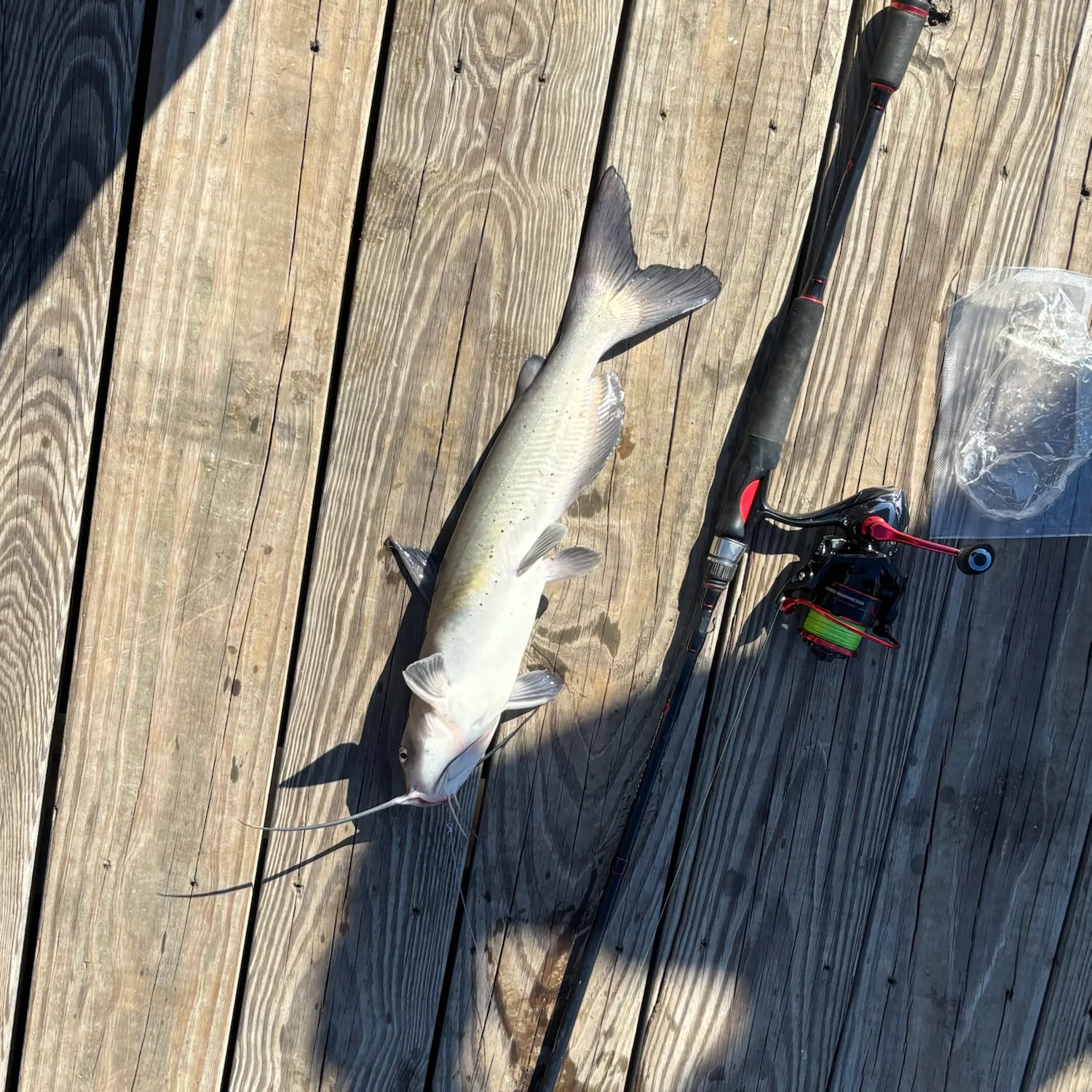 catch