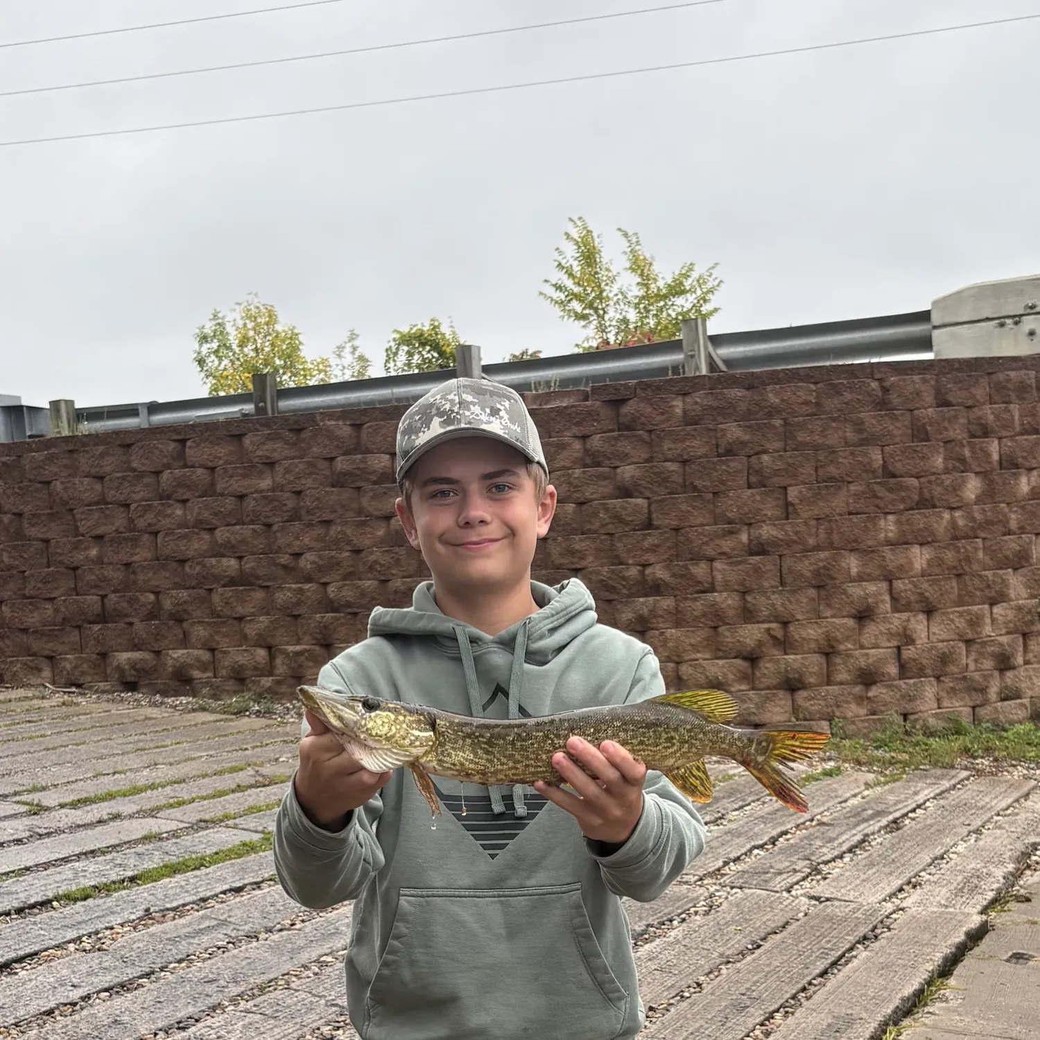 Northern pike caught on Fishbrain