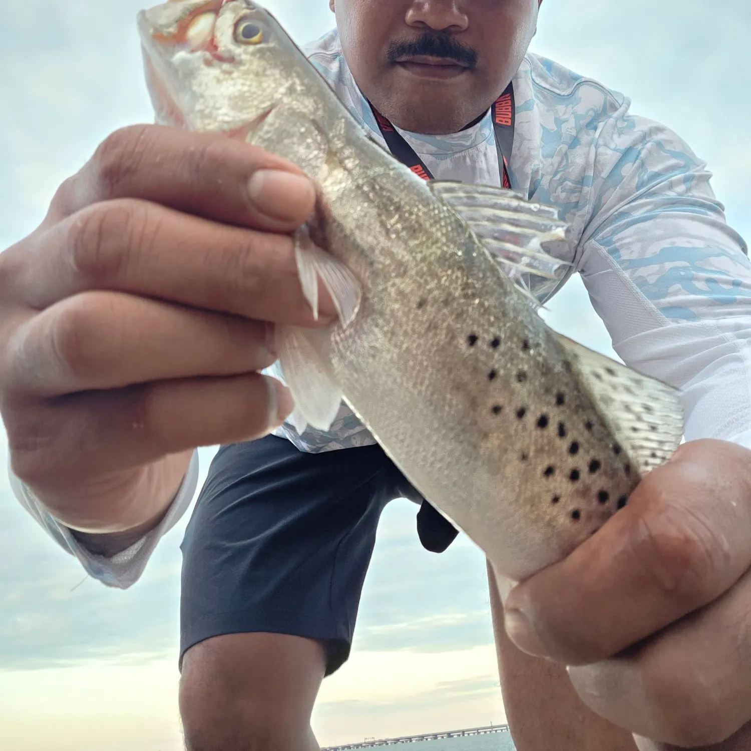 Spotted seatrout caught on Fishbrain