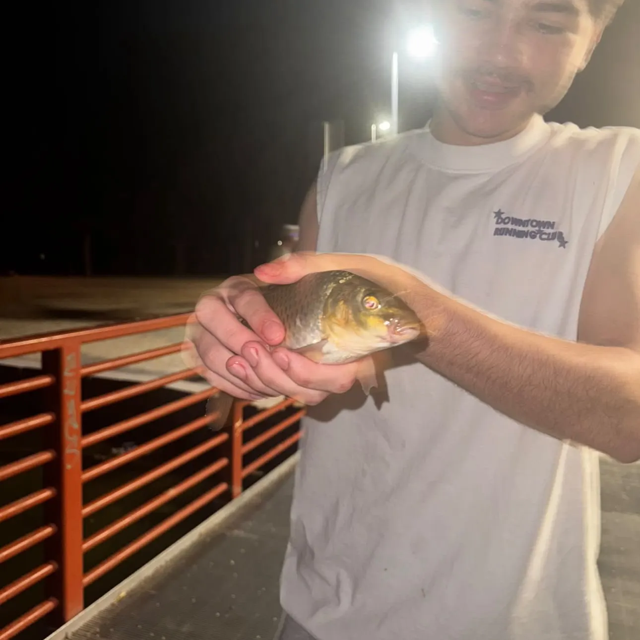Common carp caught on Fishbrain
