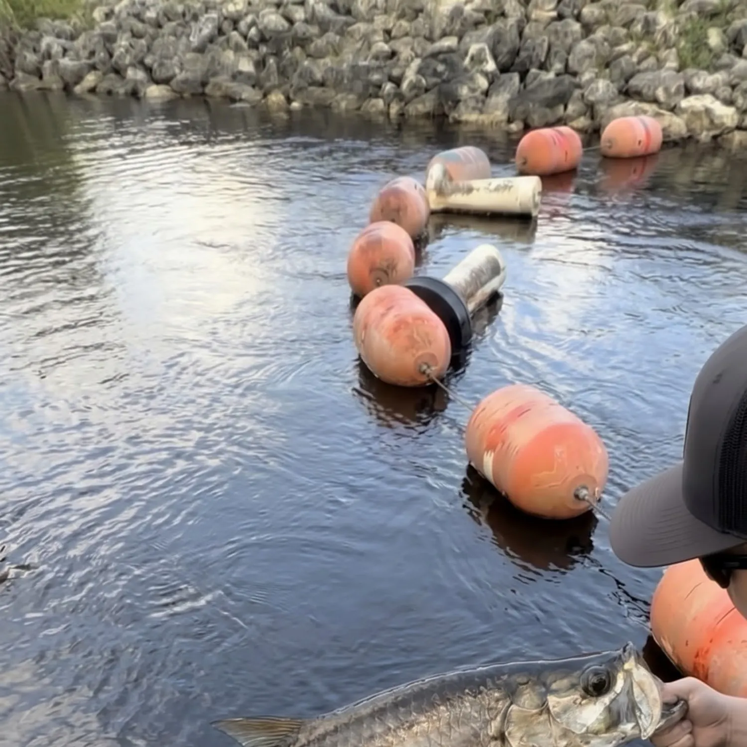 Tarpon caught on Fishbrain