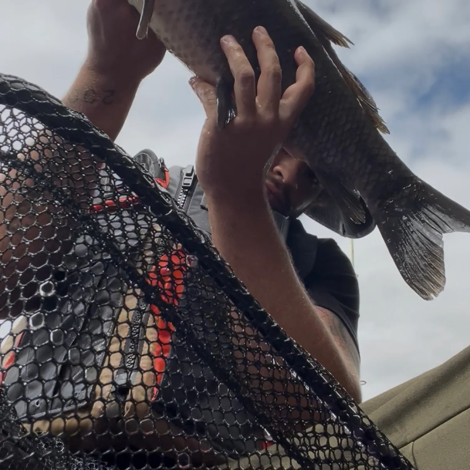 catch