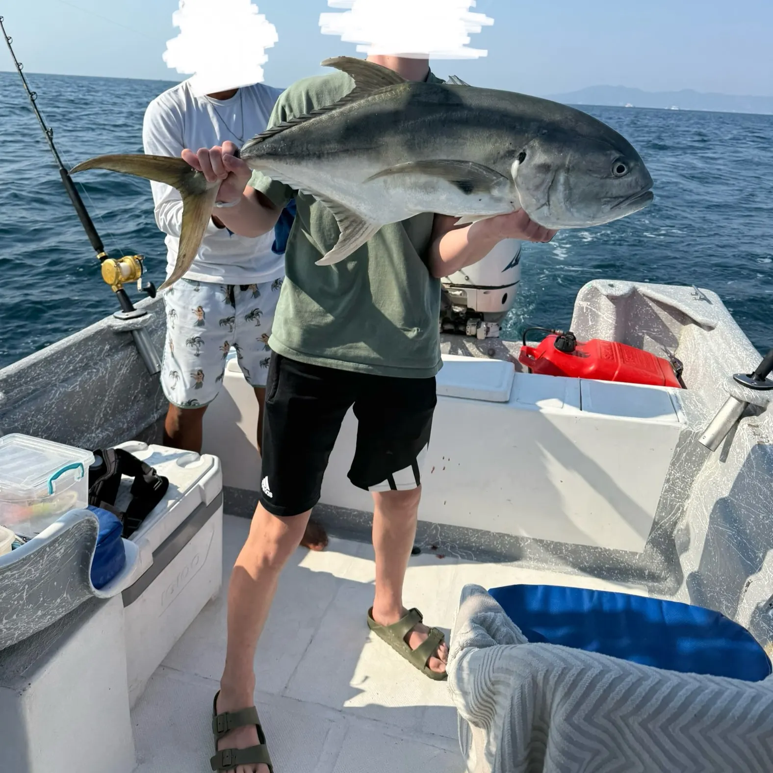 The most recent Almaco jack catches on Fishbrain