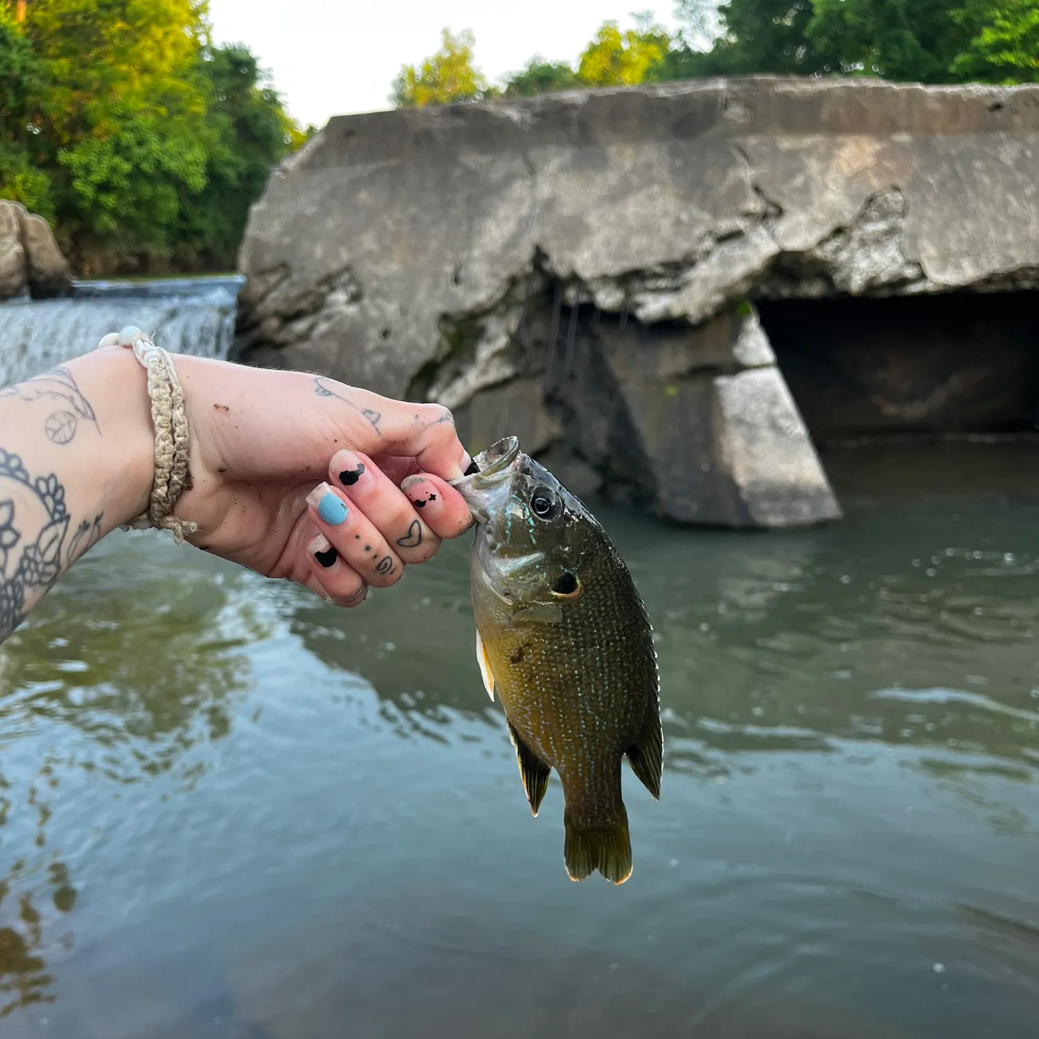 catch