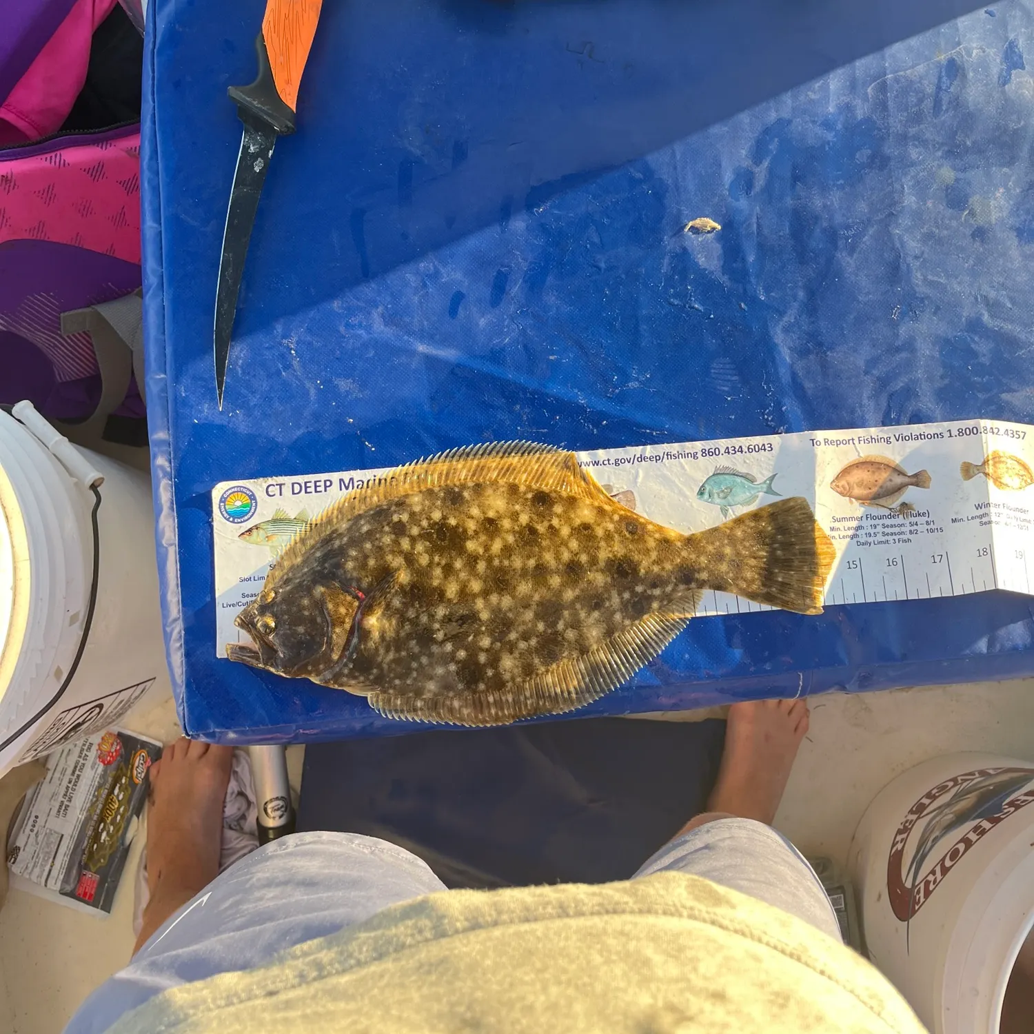 Summer flounder caught on Fishbrain
