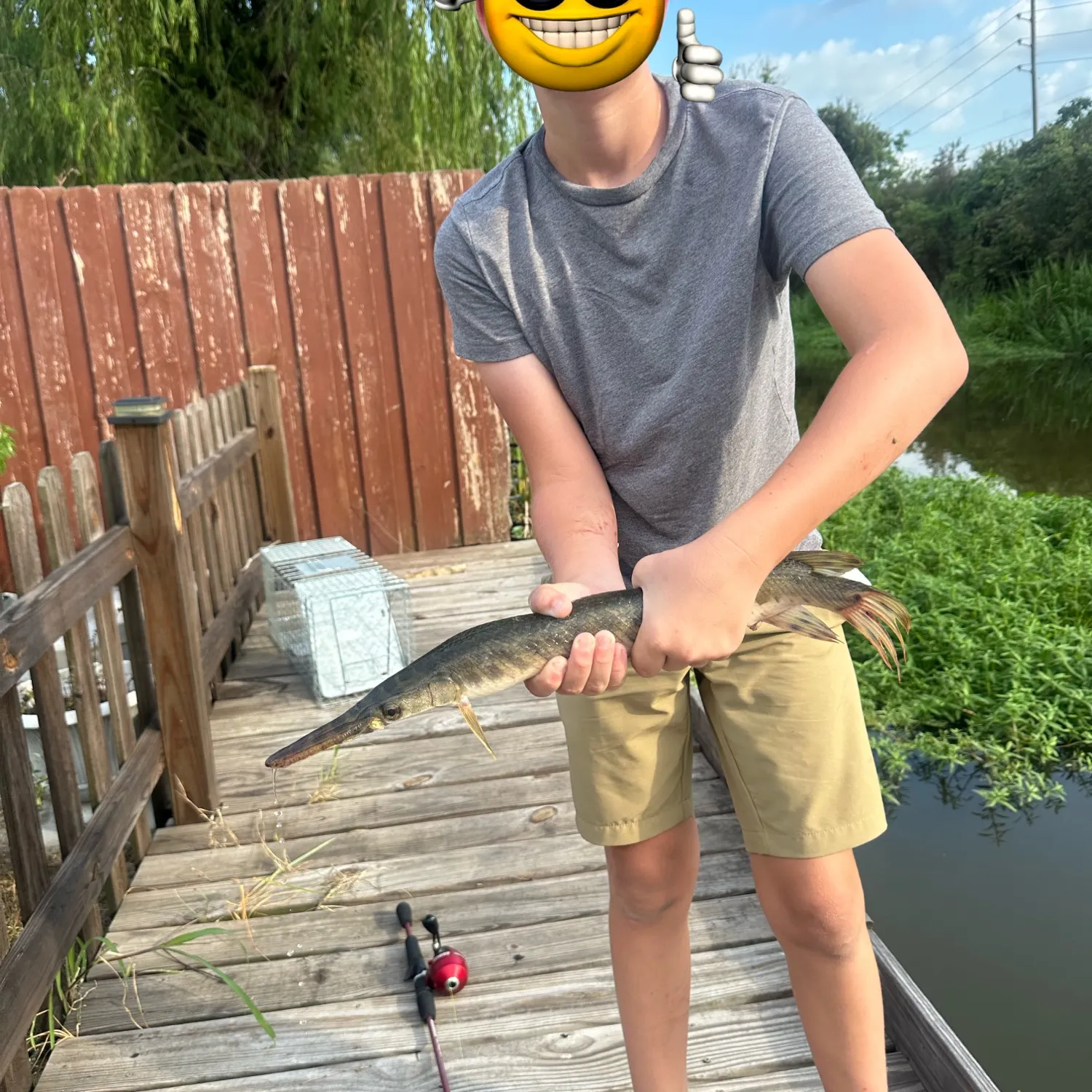 Shortnose gar caught on Fishbrain