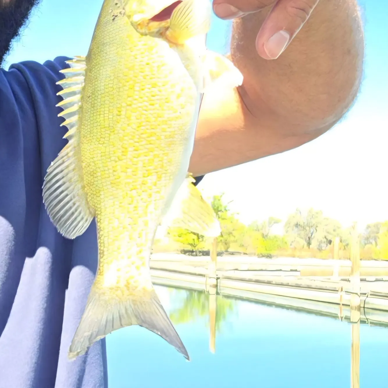Smallmouth bass caught on Fishbrain
