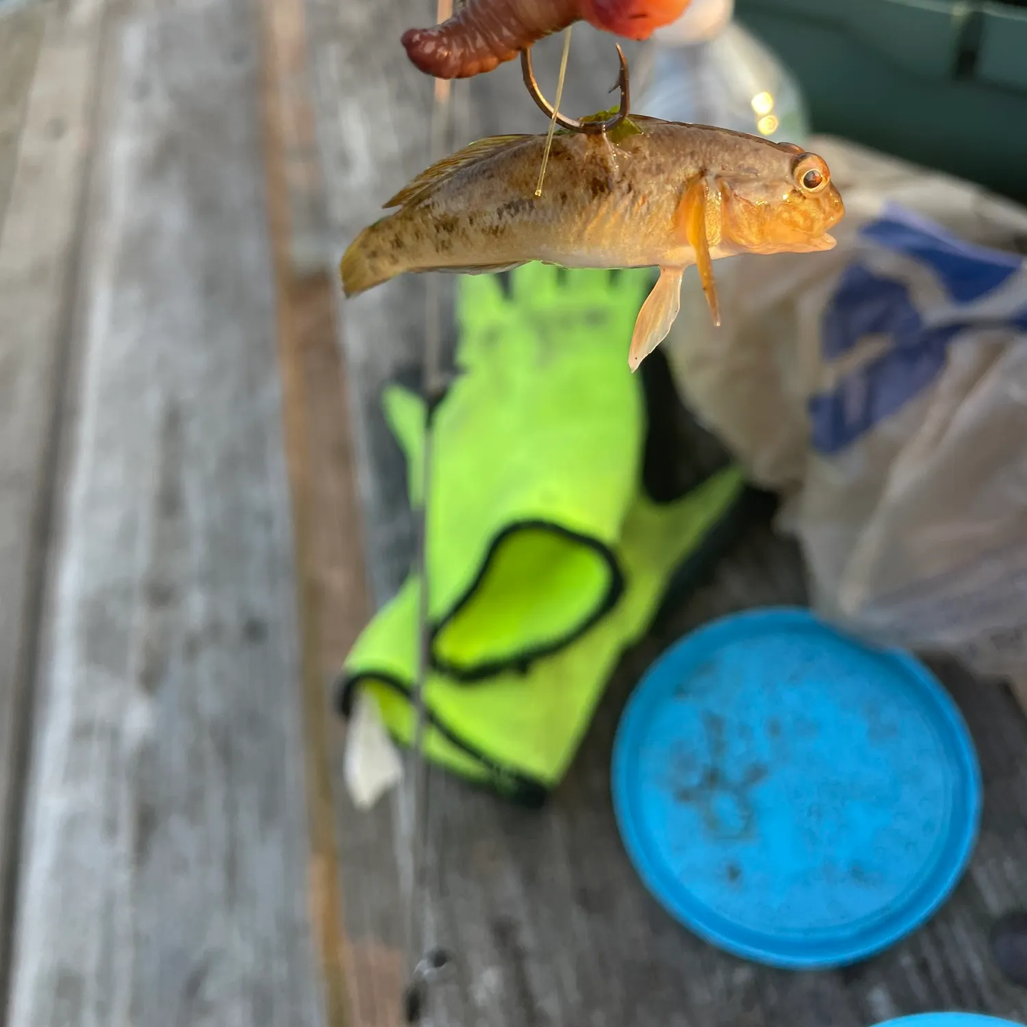 catch
