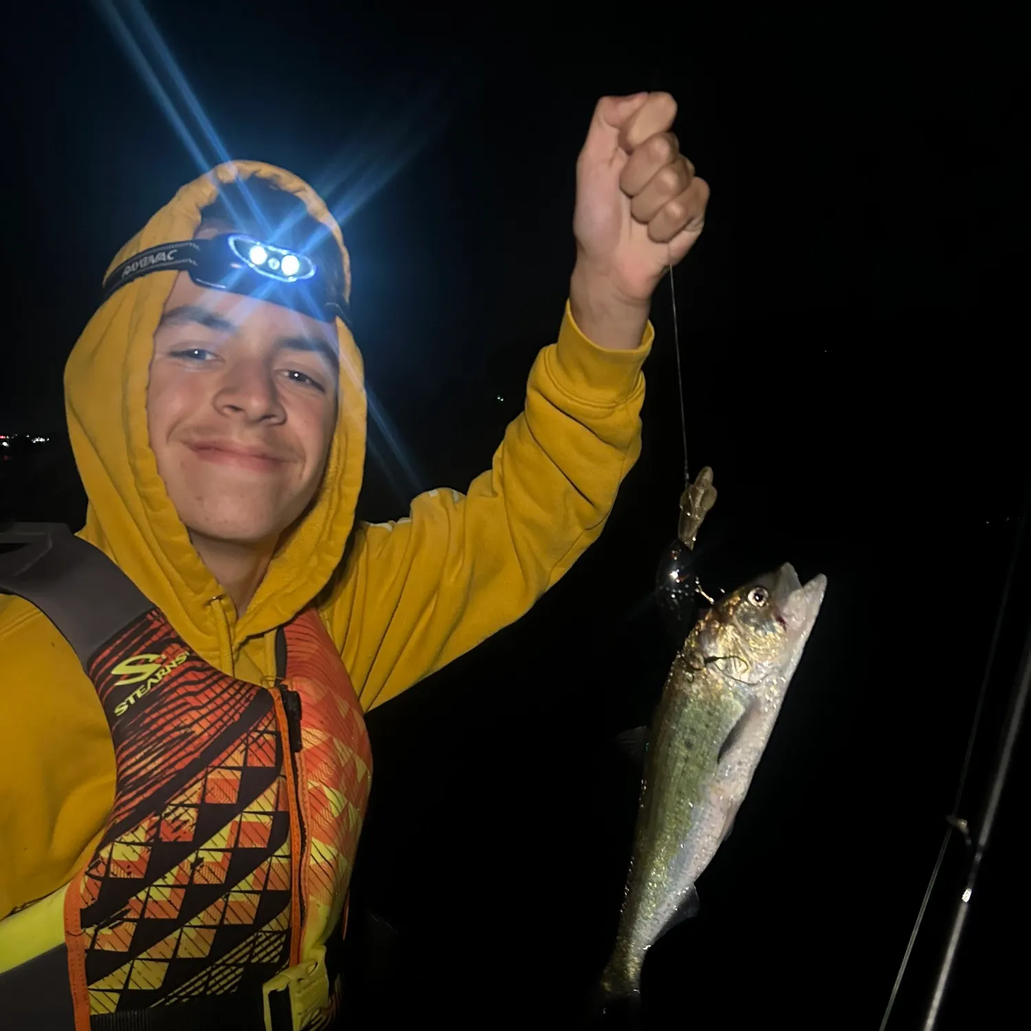 The most recent American shad catches on Fishbrain