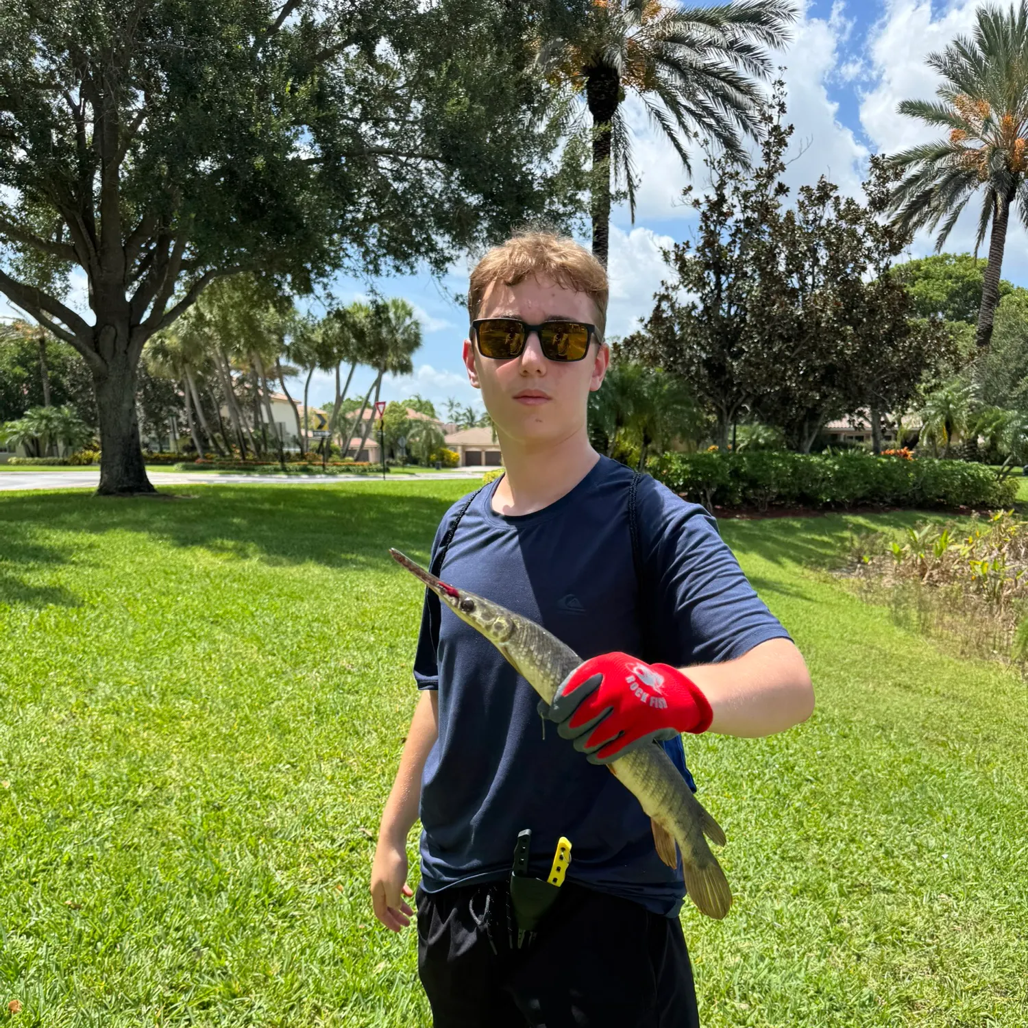 The most recent Florida gar catches on Fishbrain