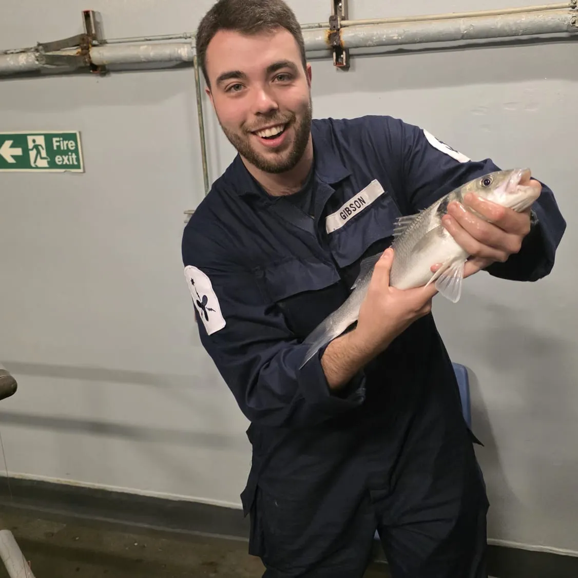 The most recent European seabass catches on Fishbrain