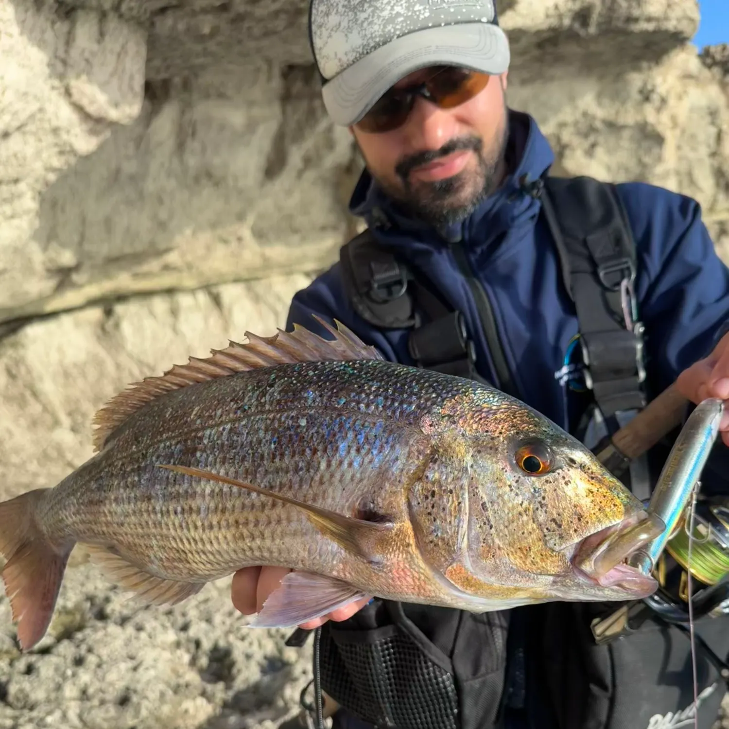 The most recent Common dentex catches on Fishbrain